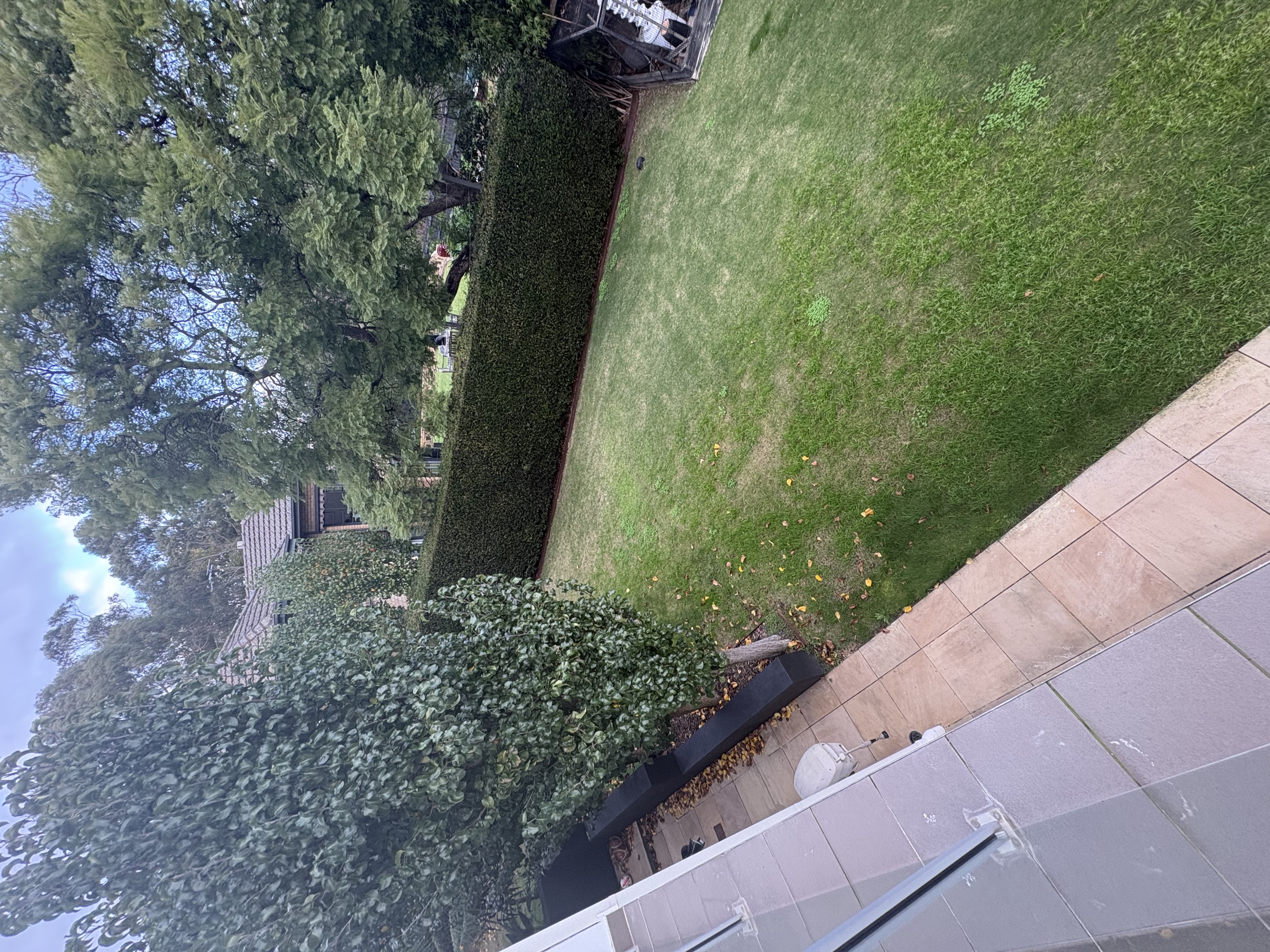 image-14