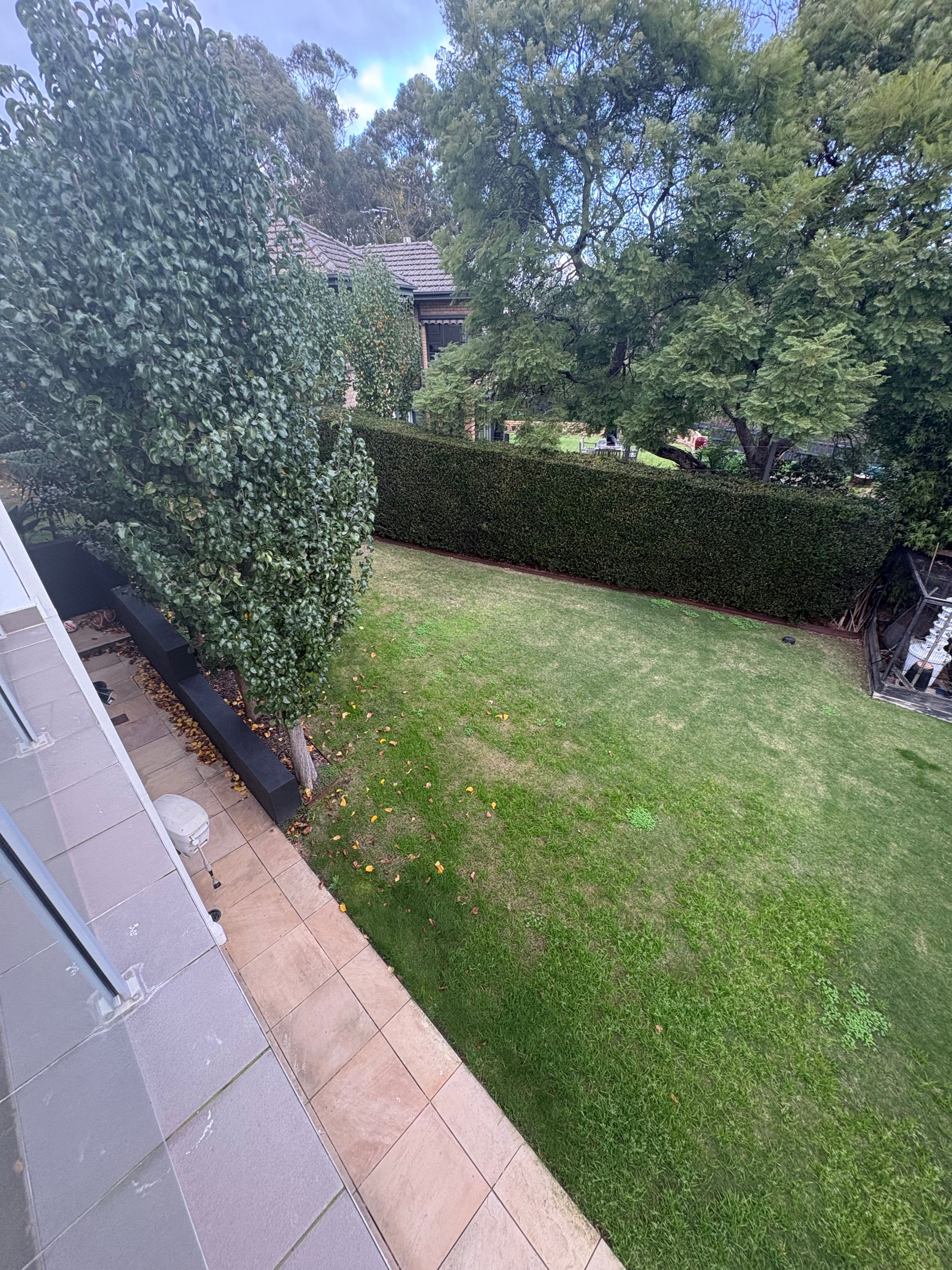 image-14