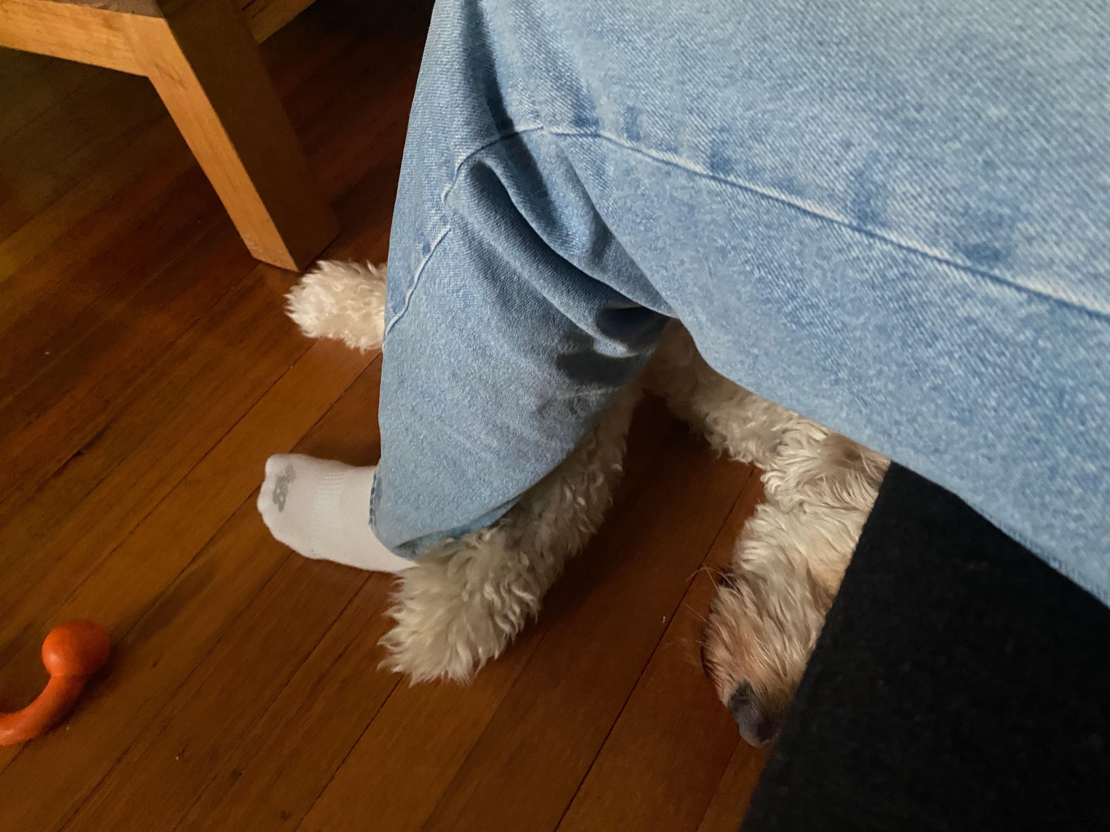 image-9