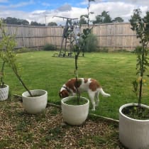 image-13