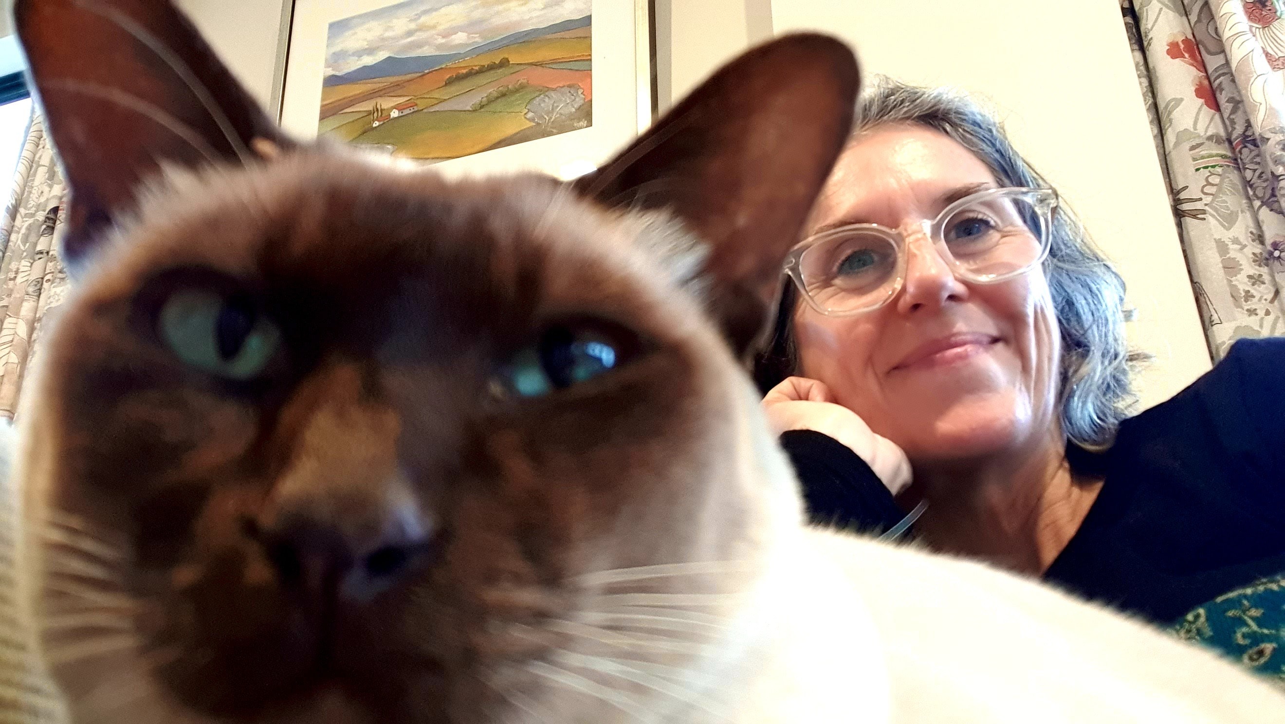image-0