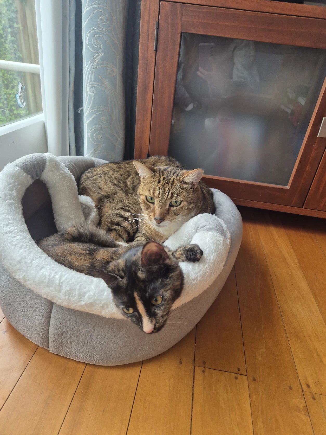 image-7
