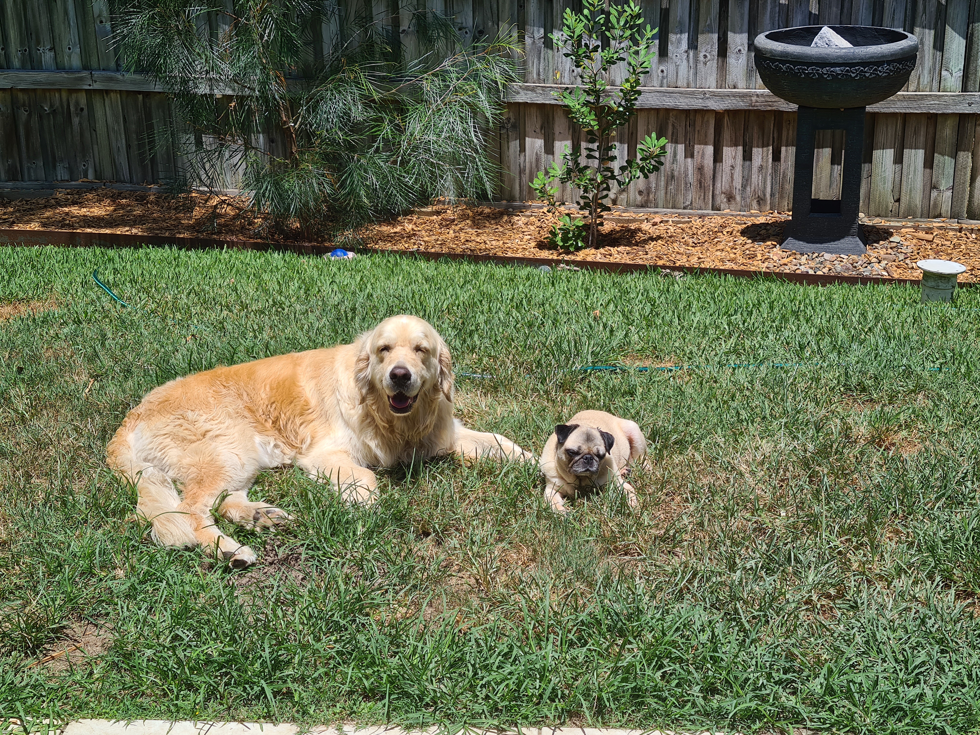 image-17