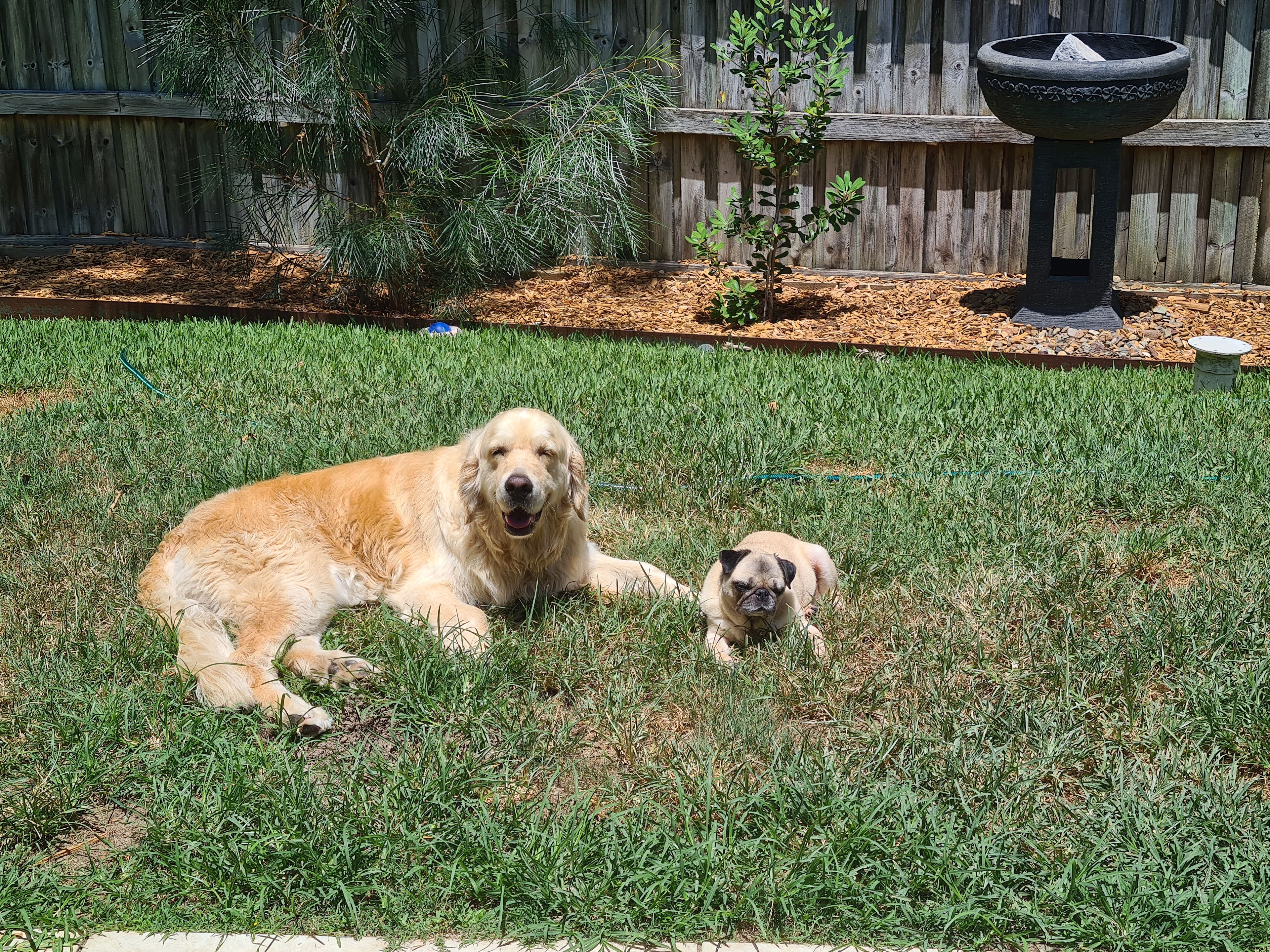 image-17
