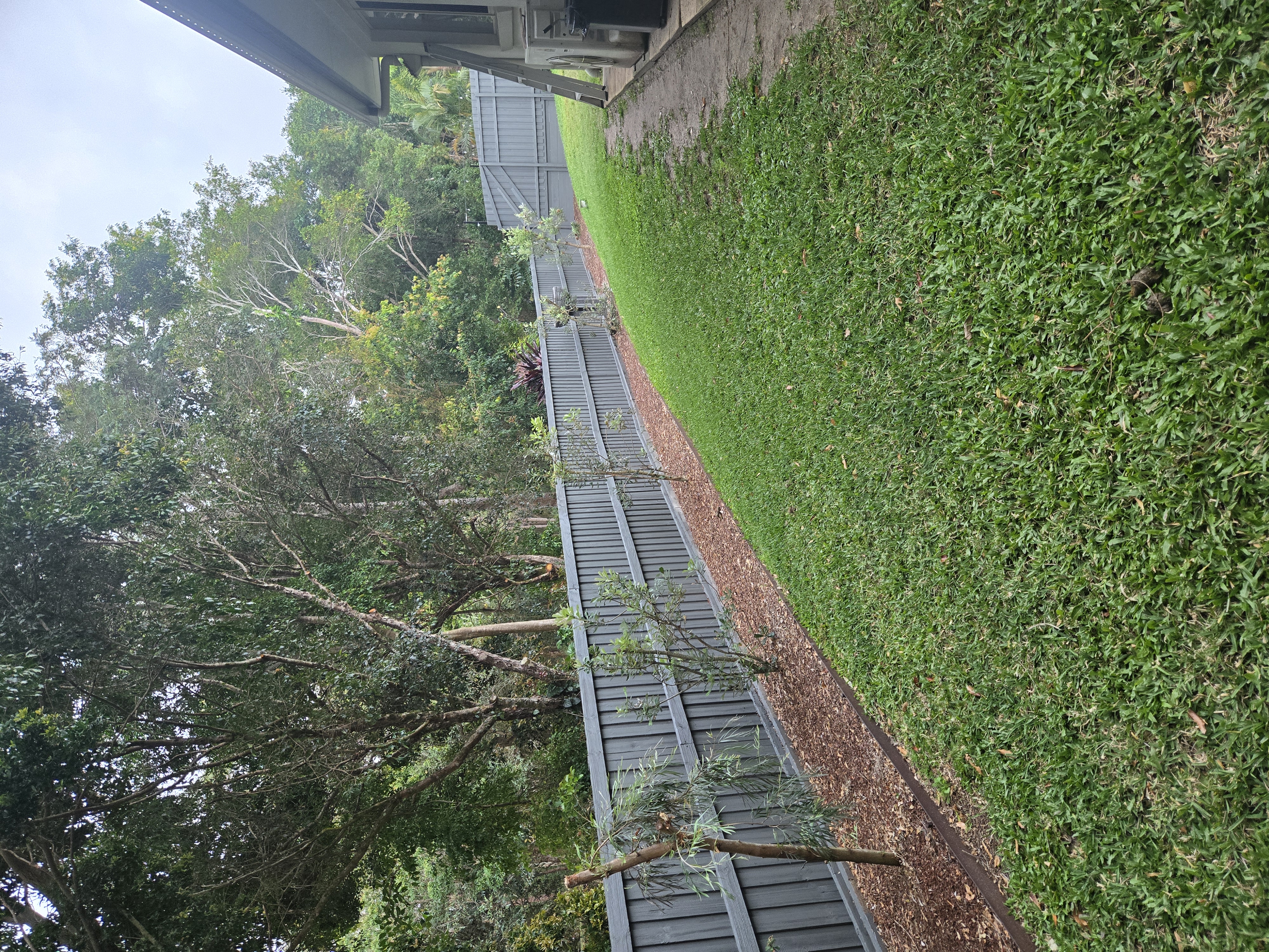 image-25