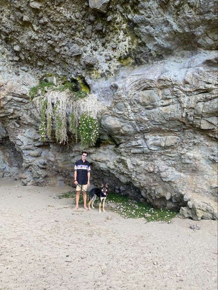 image-6