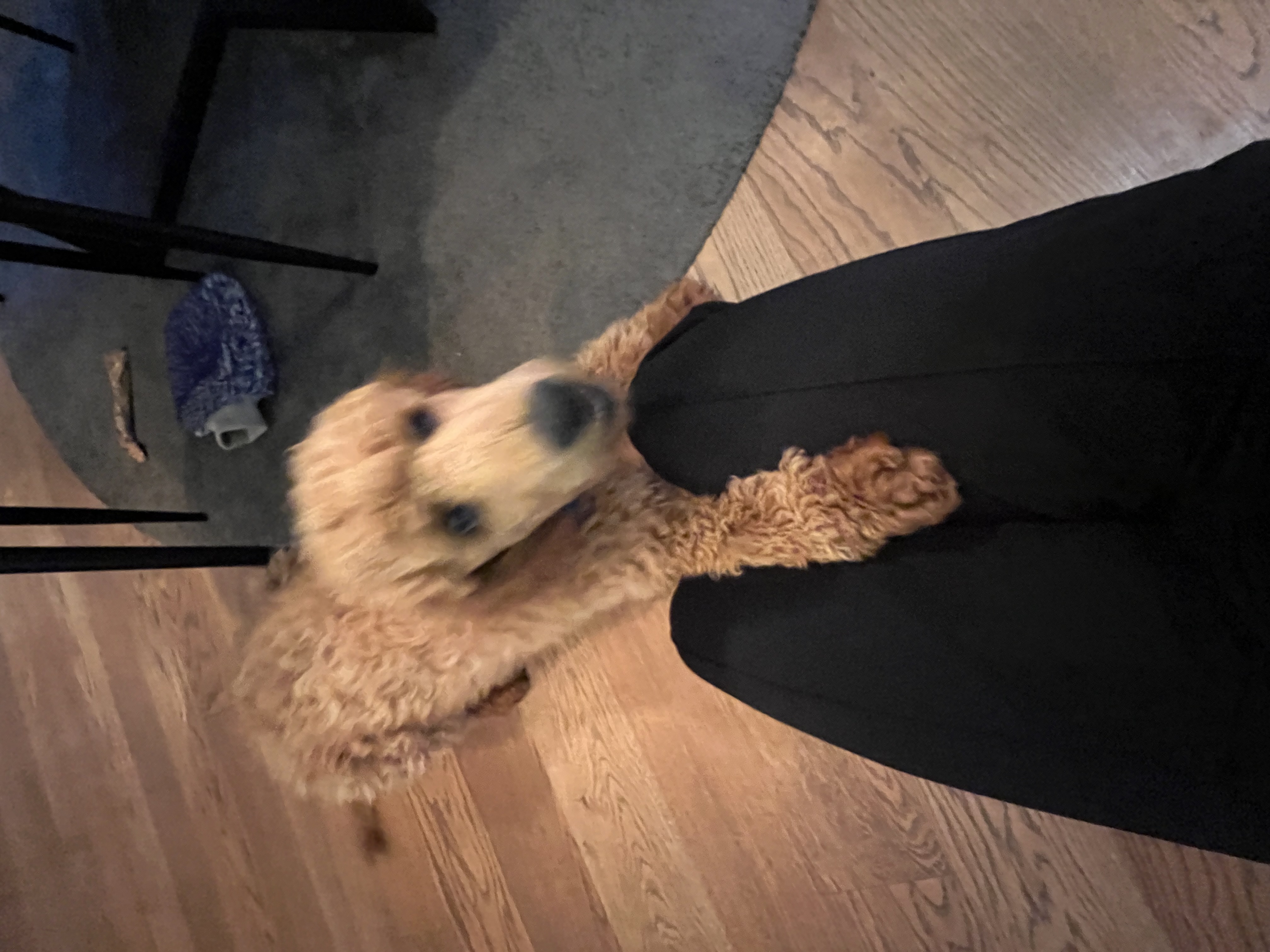 image-10