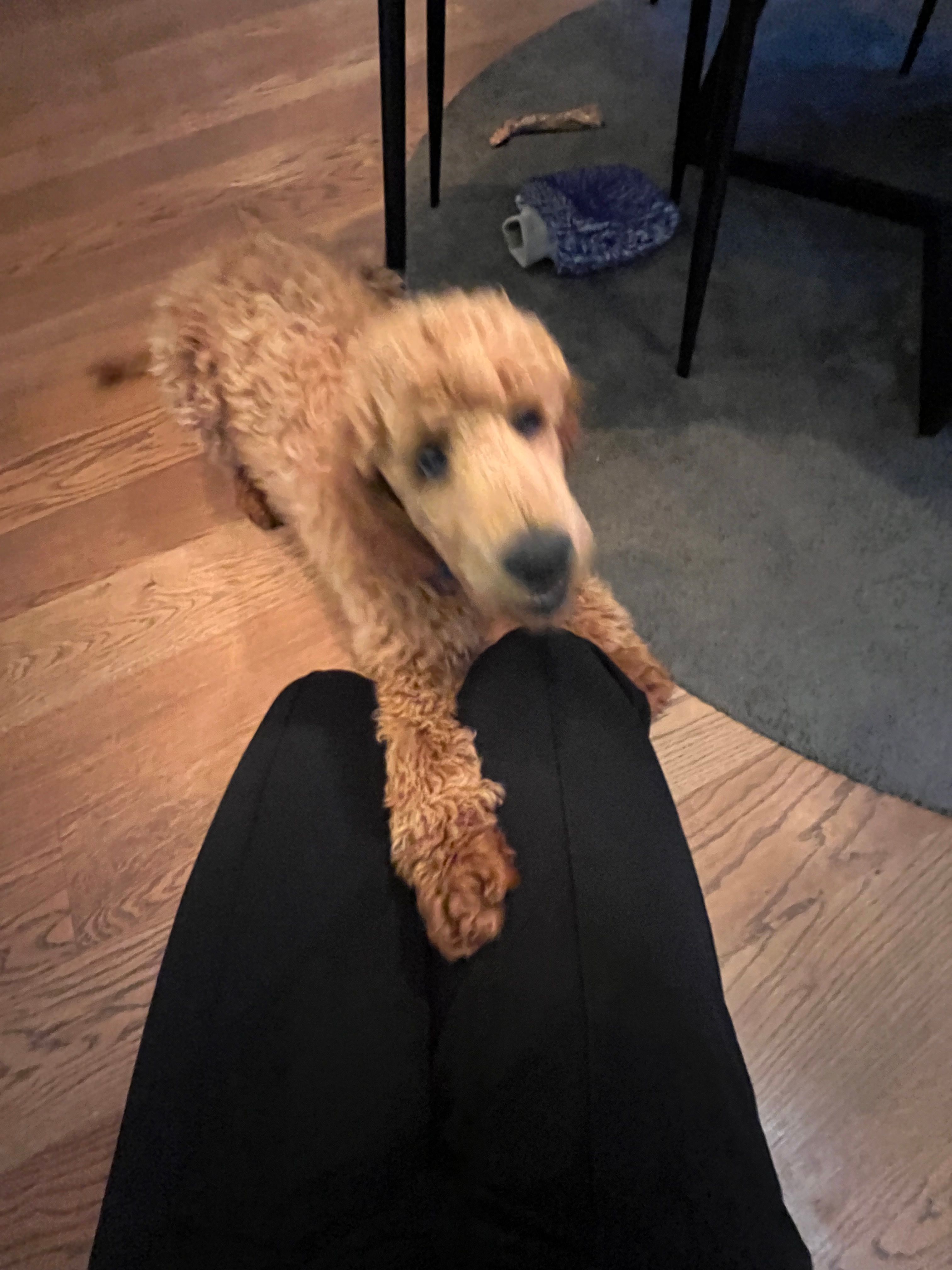 image-10
