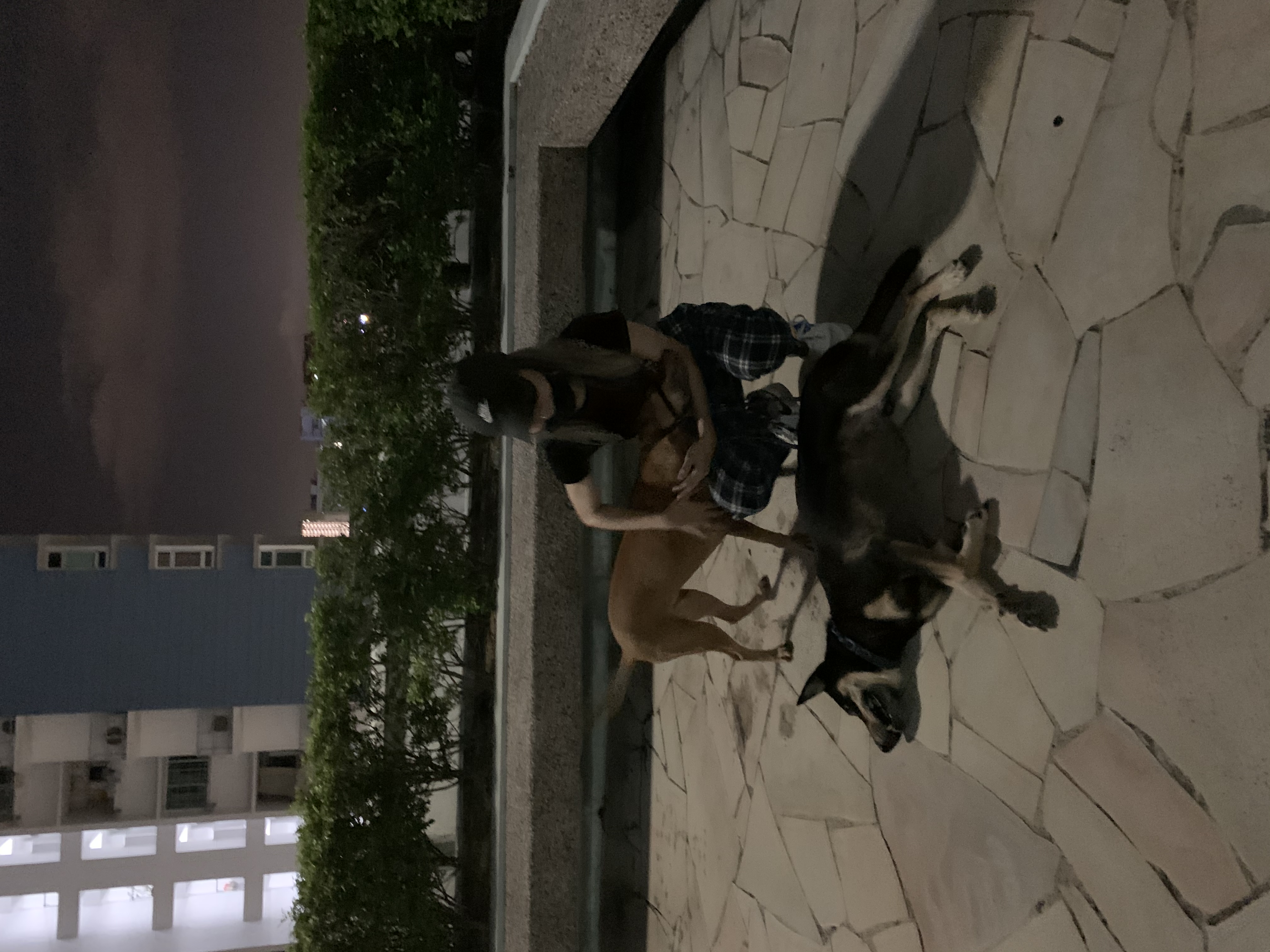 image-6
