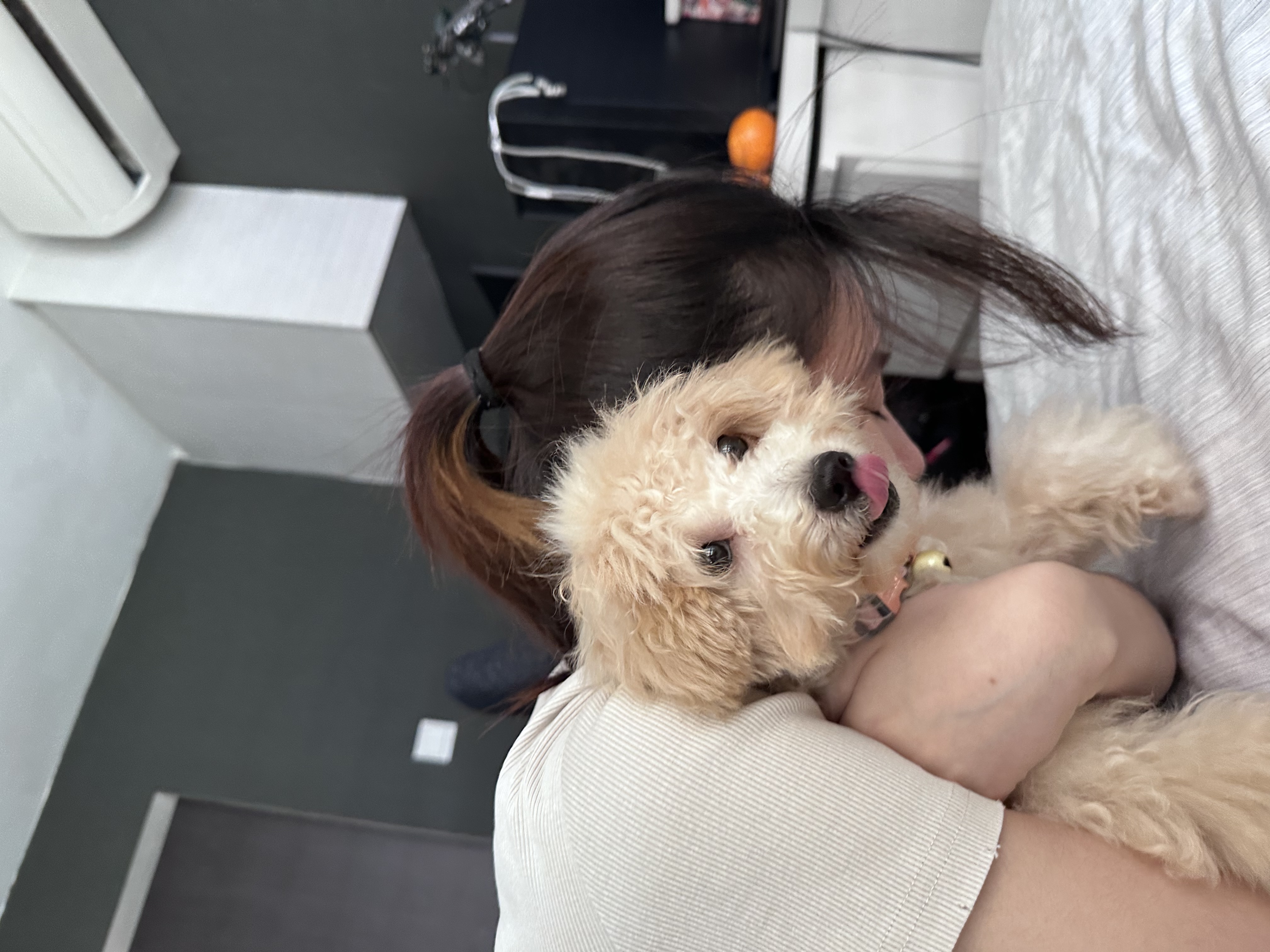image-9