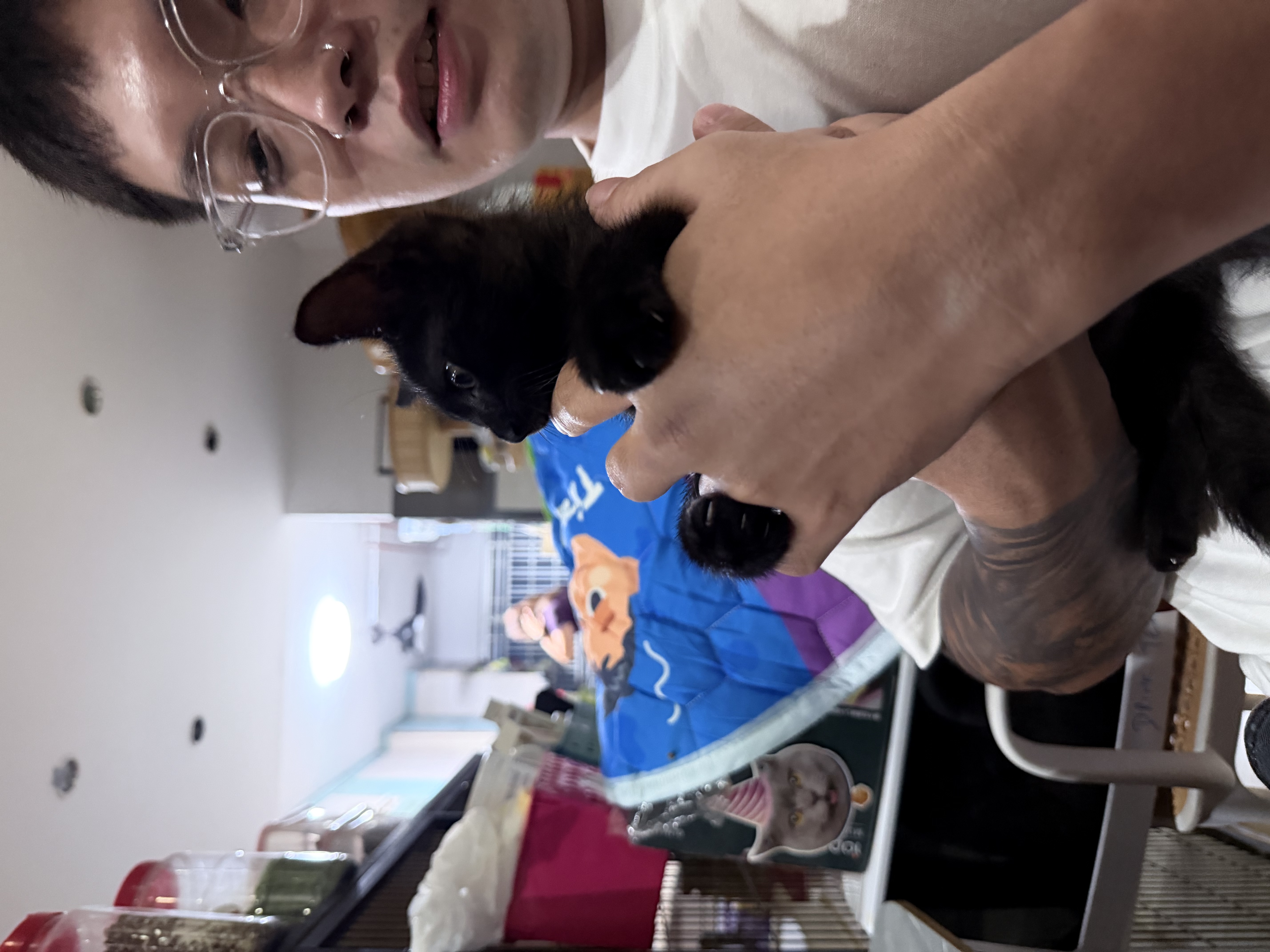 image-4