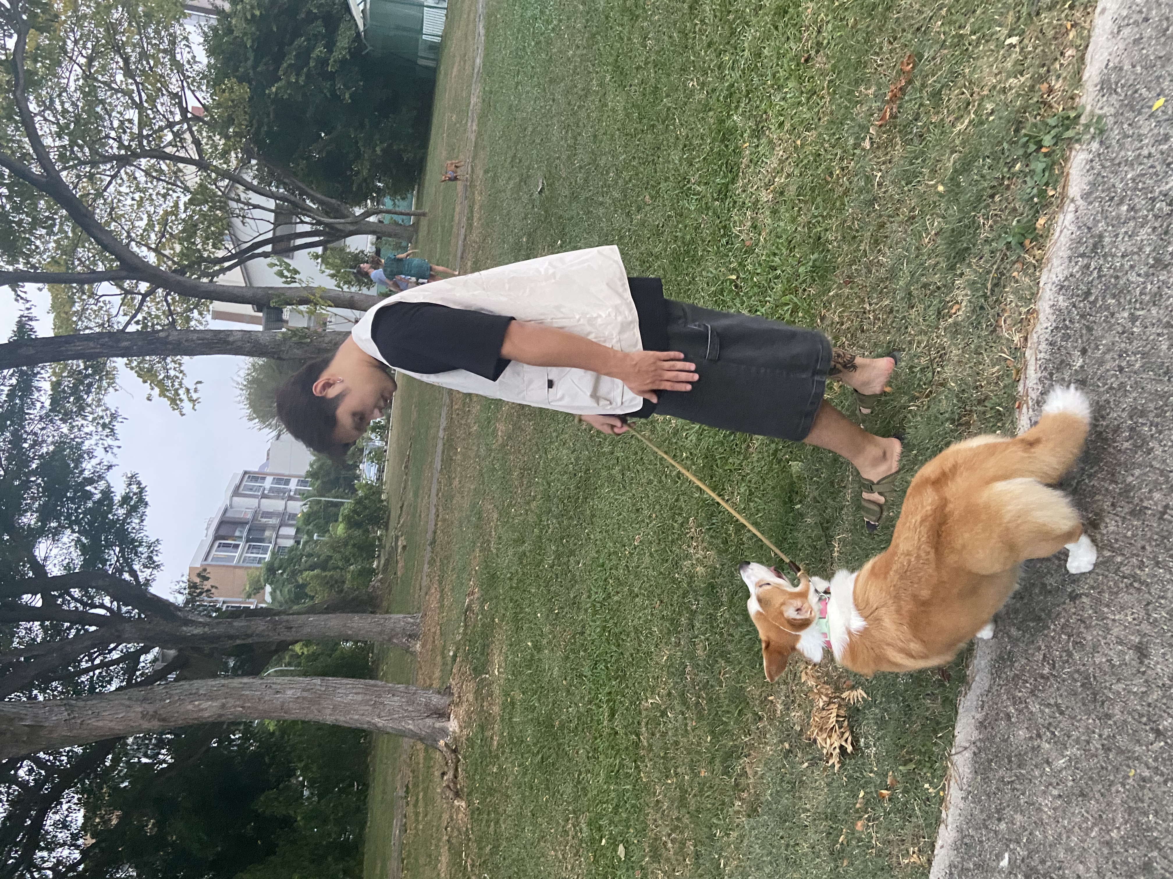 image-12