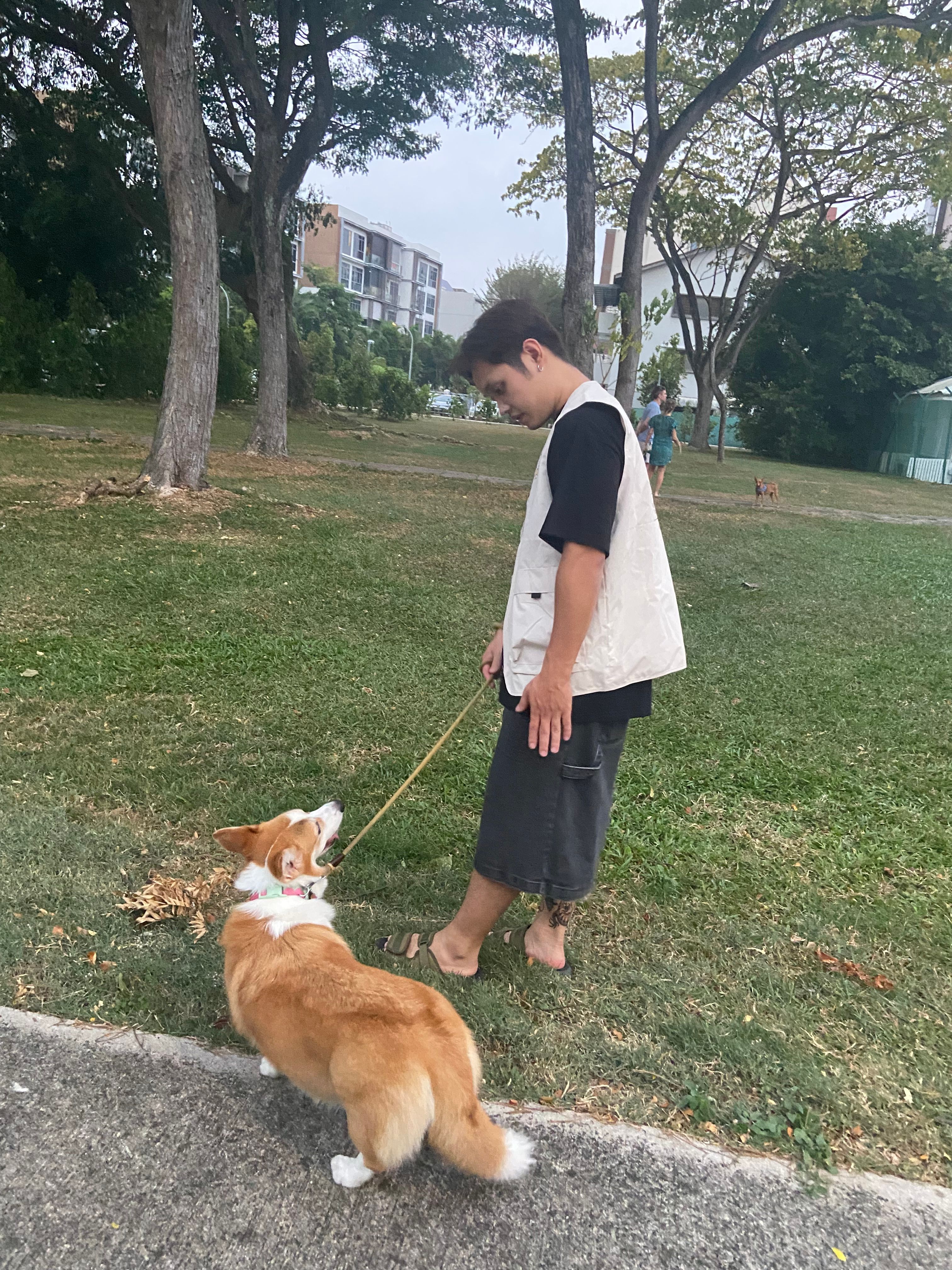 image-12
