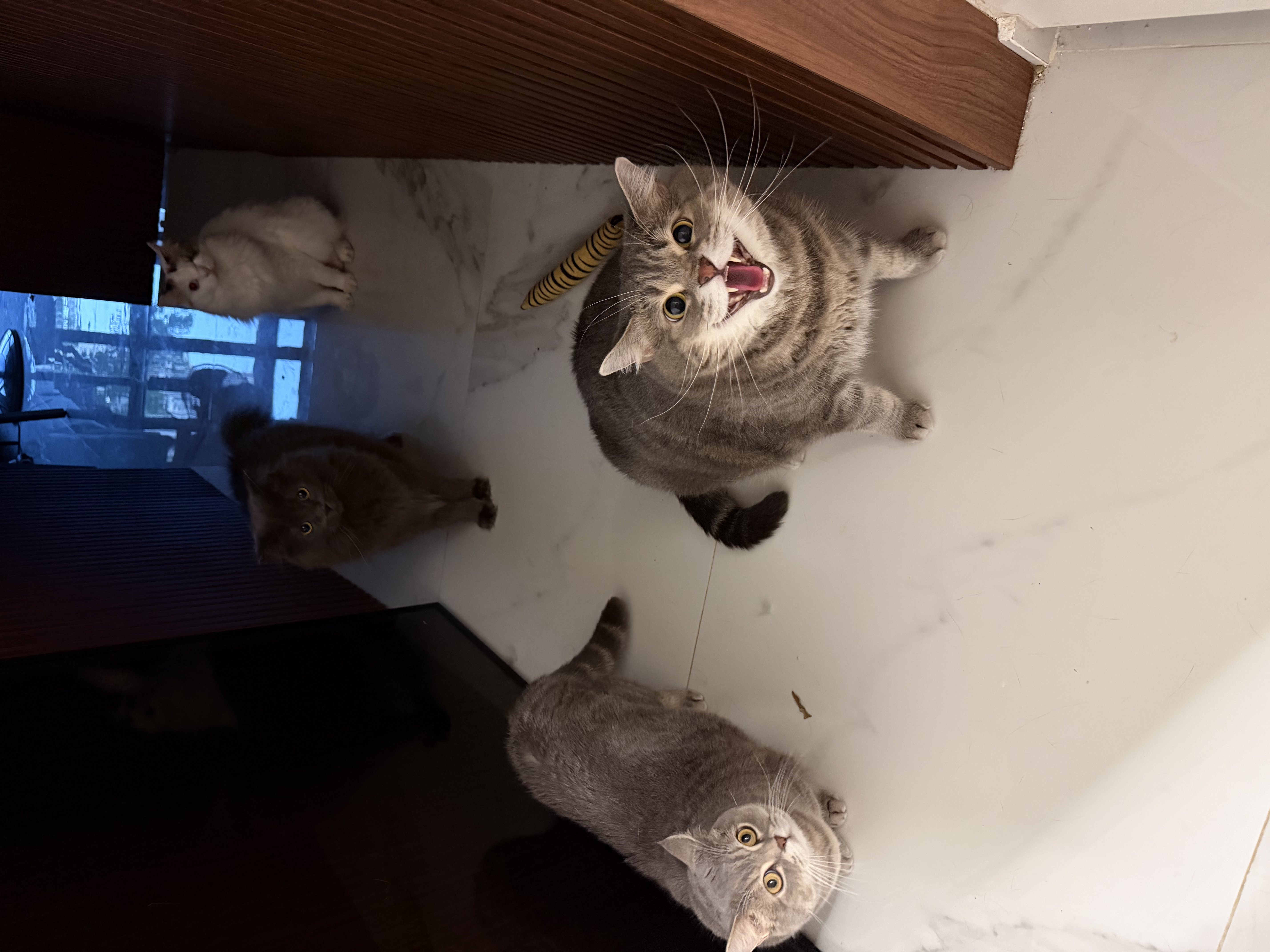 image-13