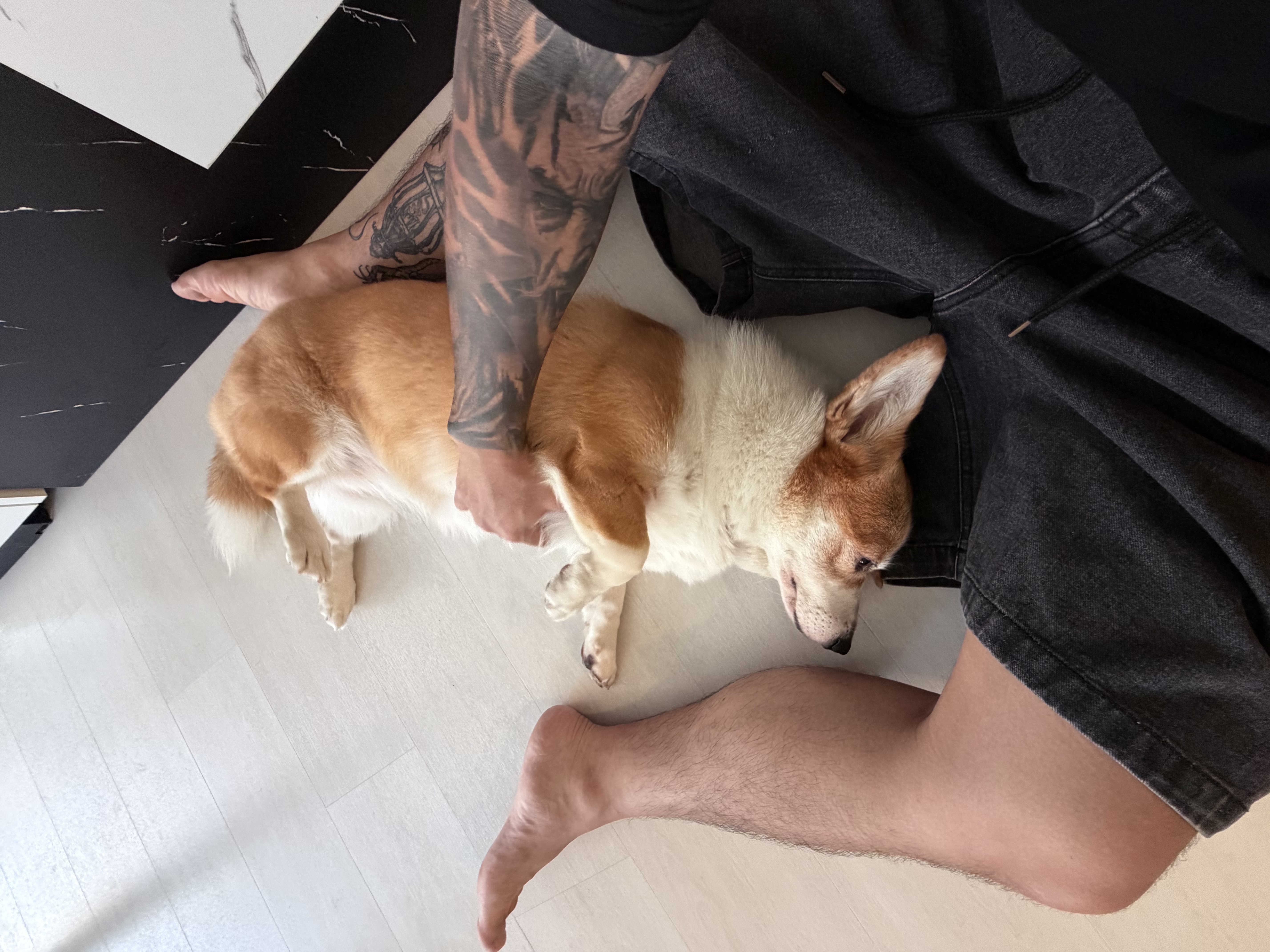 image-8