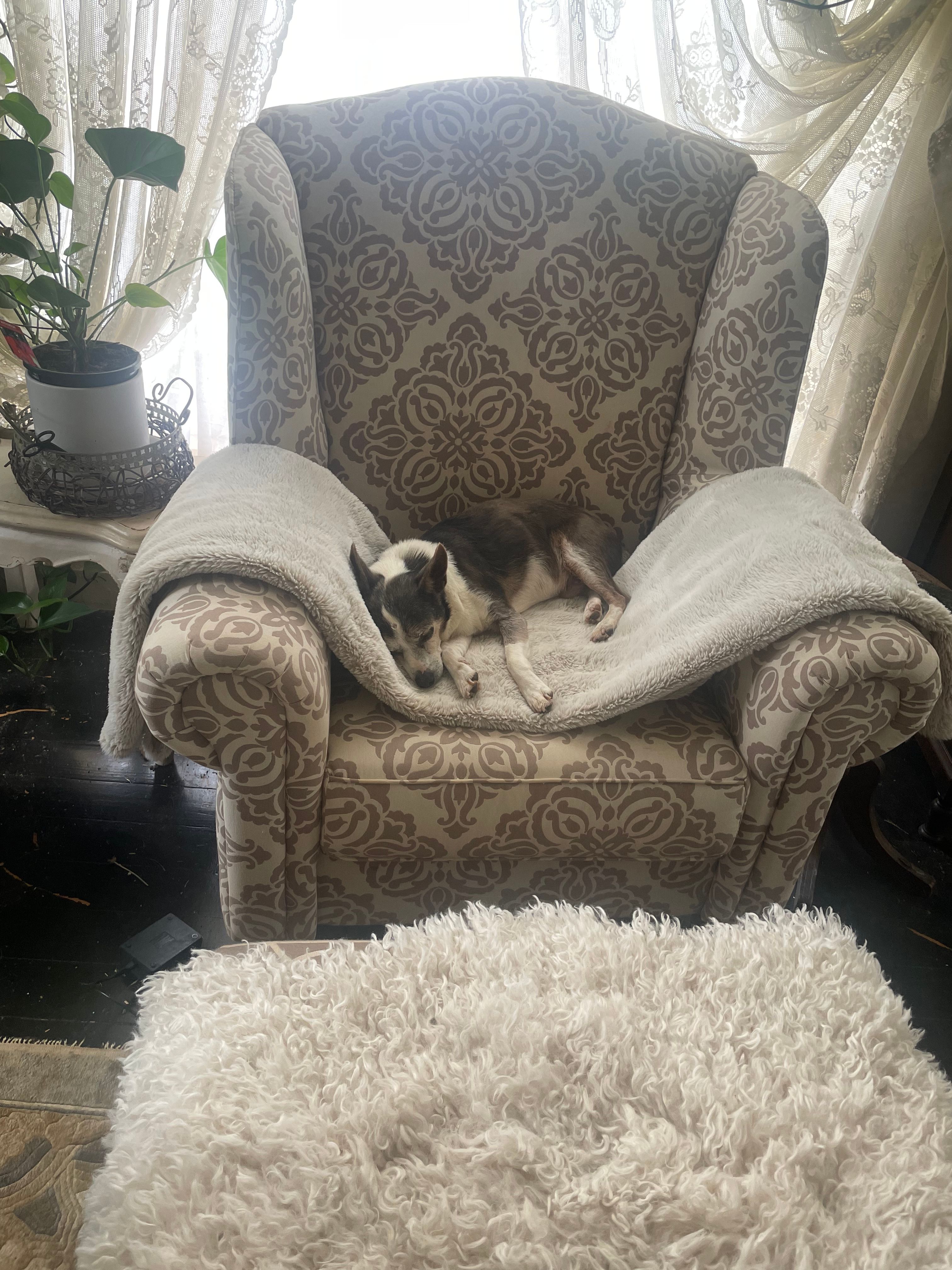 image-20