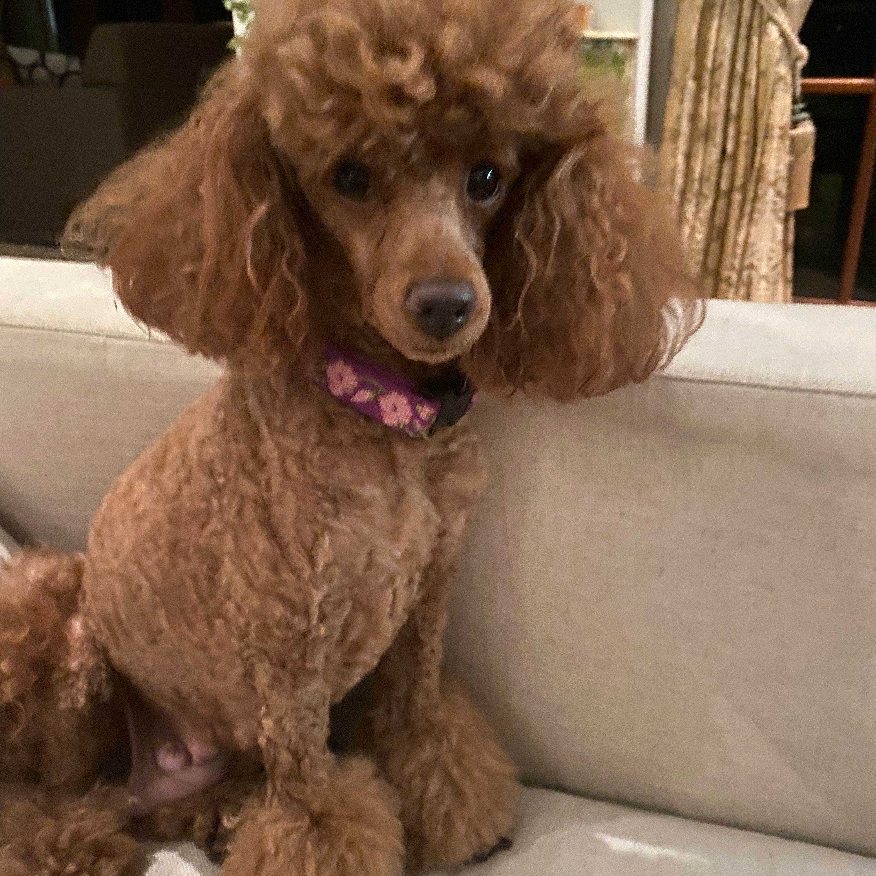 Precious
