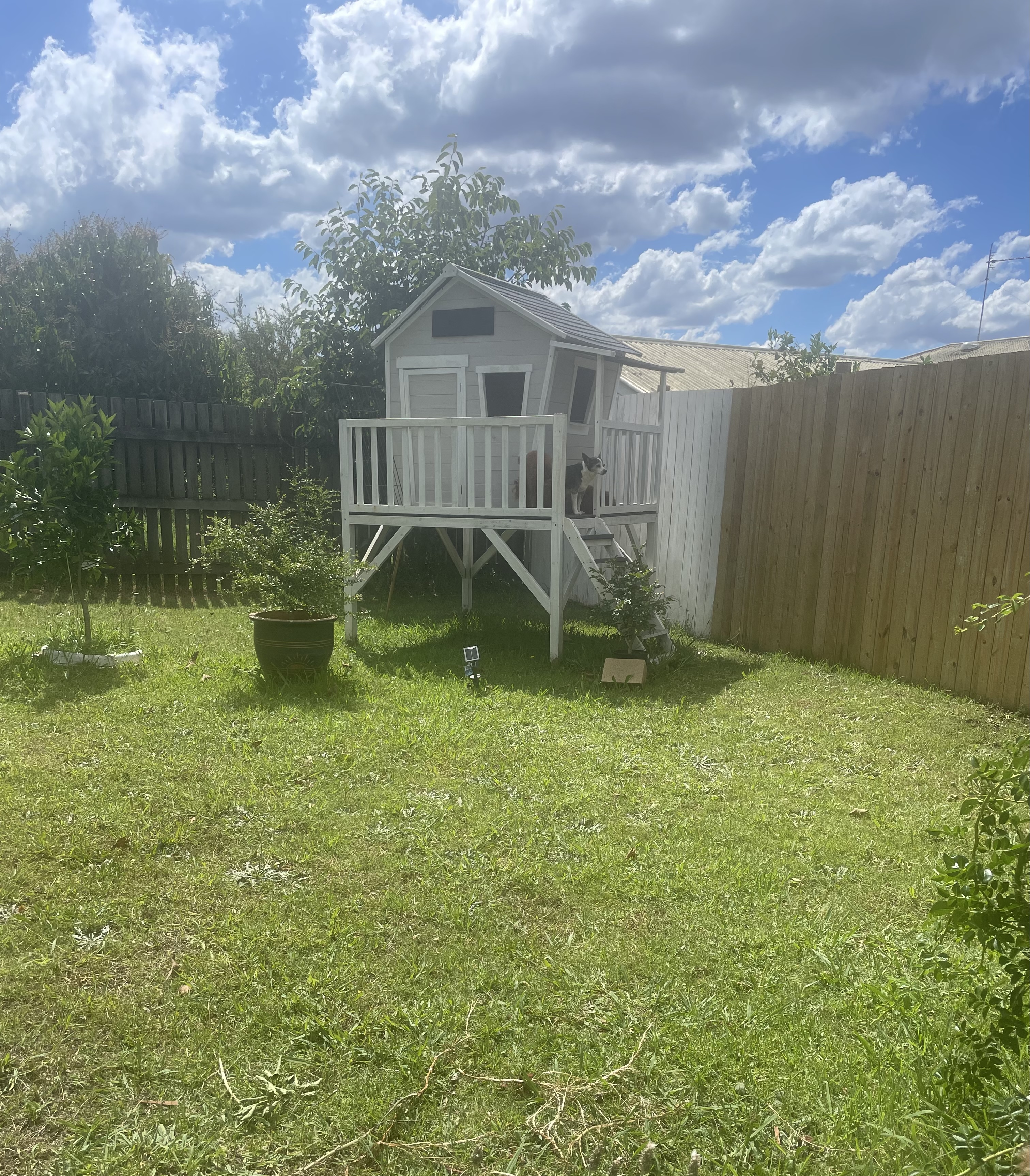 image-16