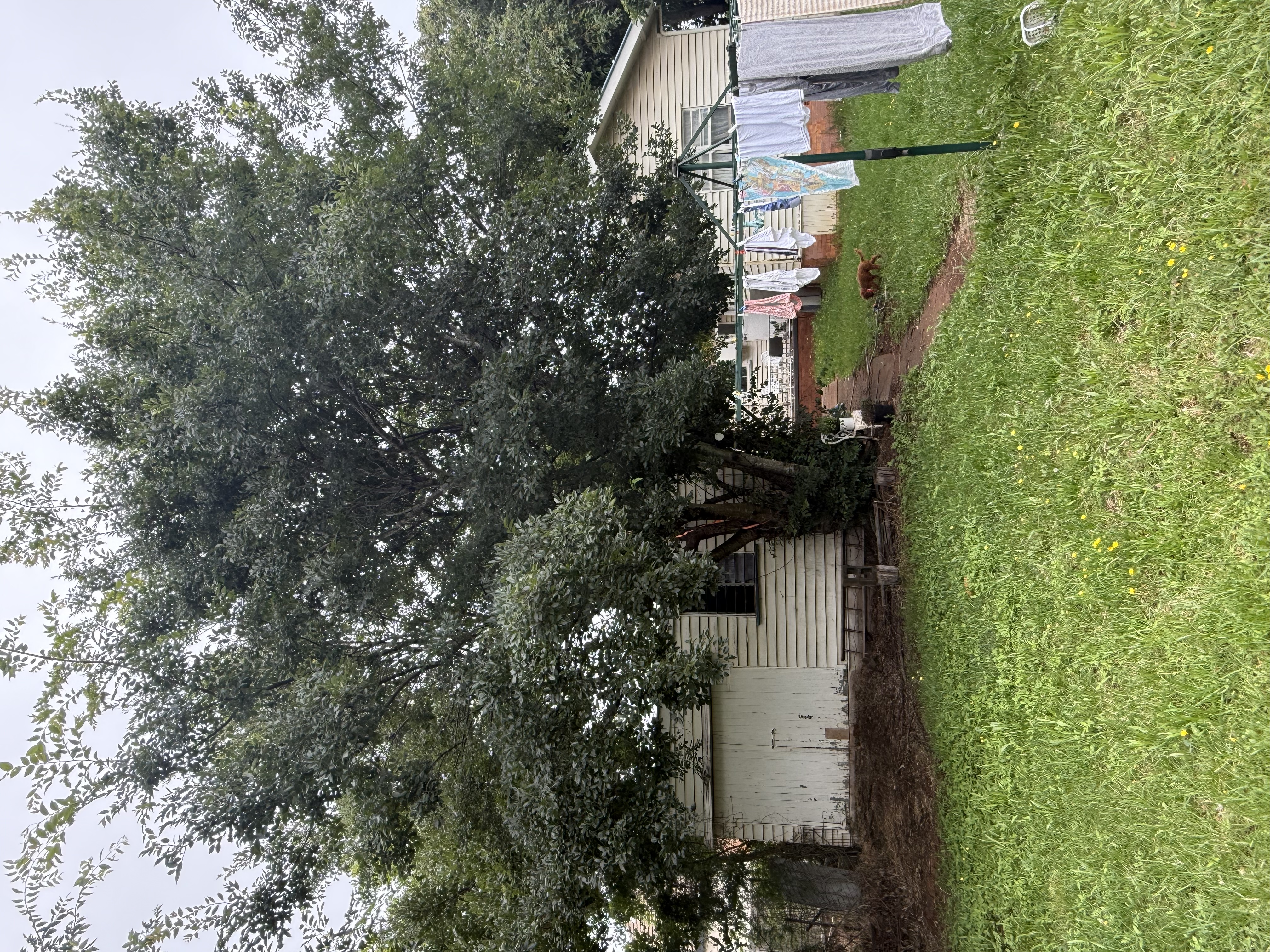 image-17