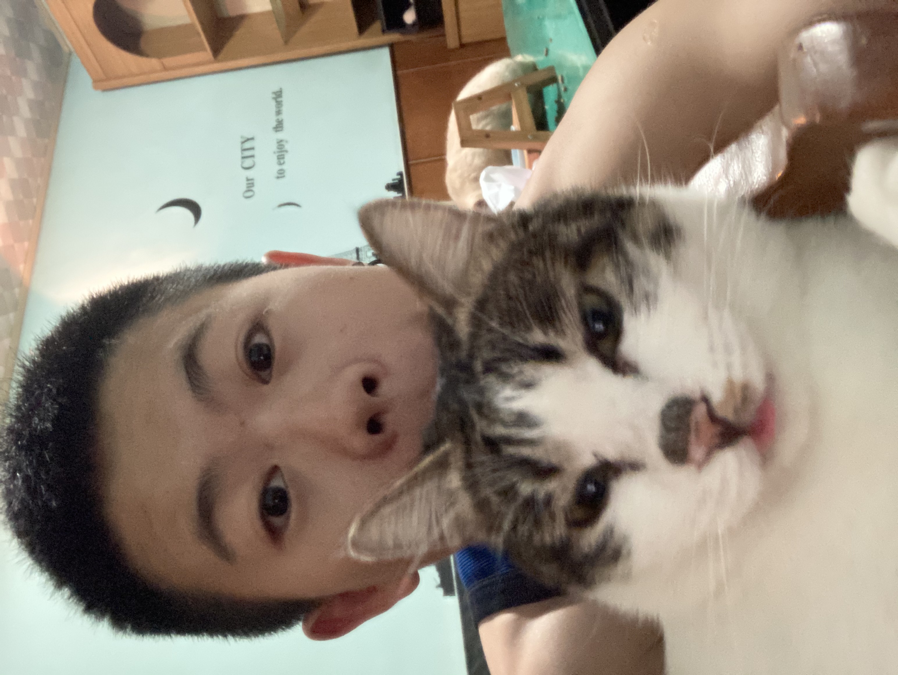 image-8