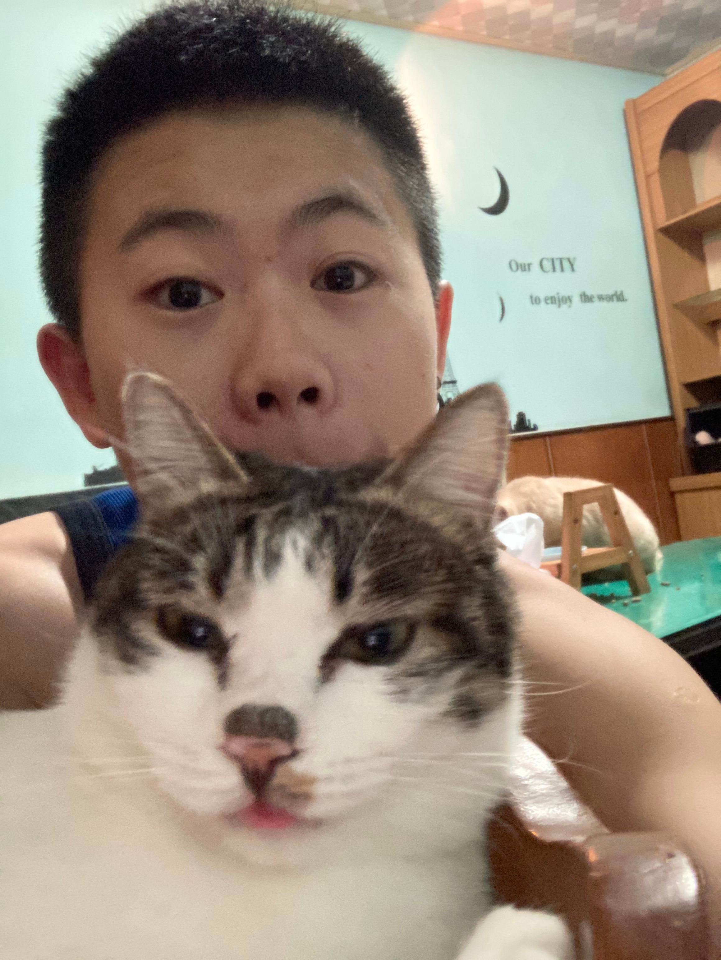 image-8
