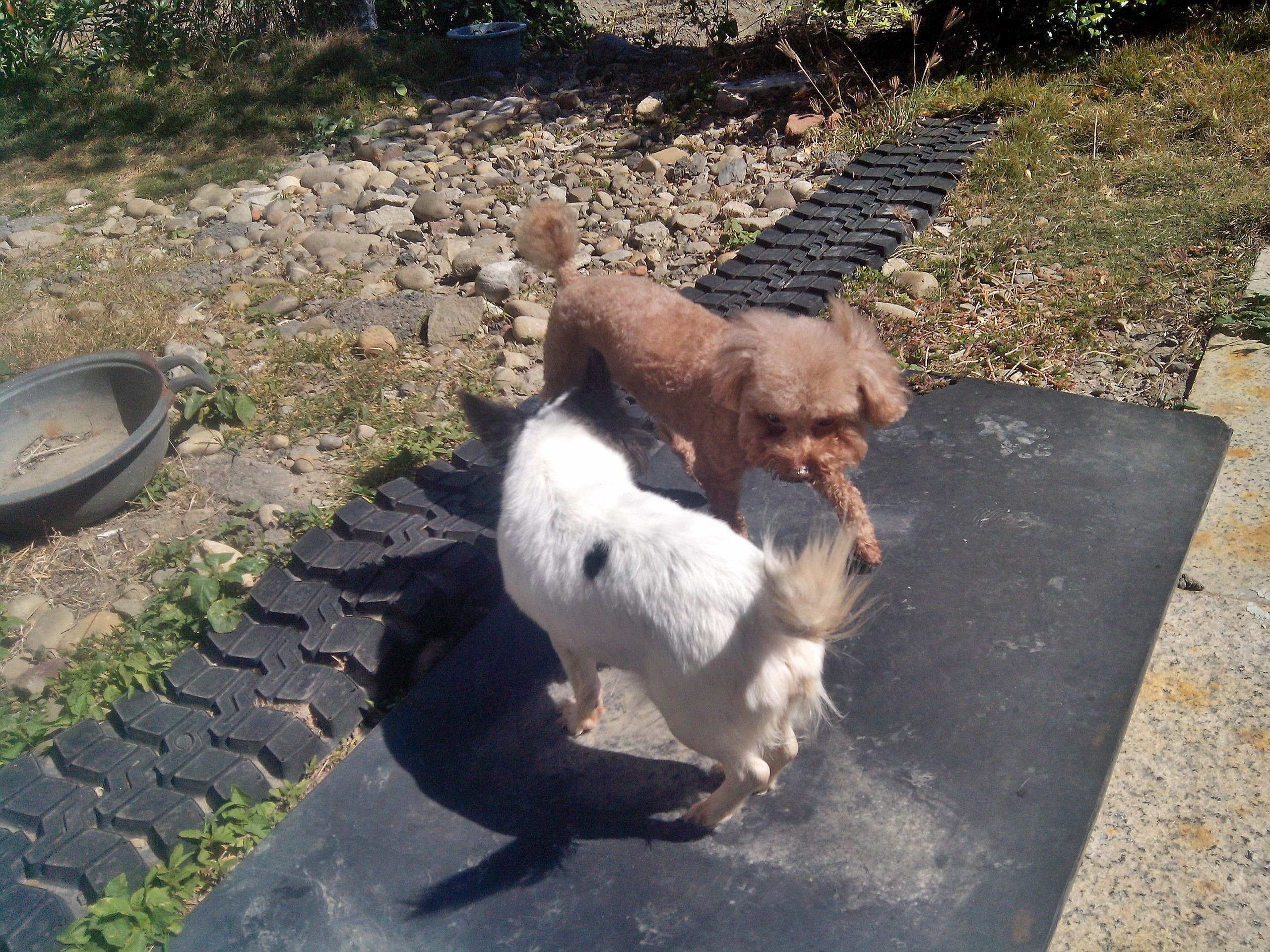 image-5