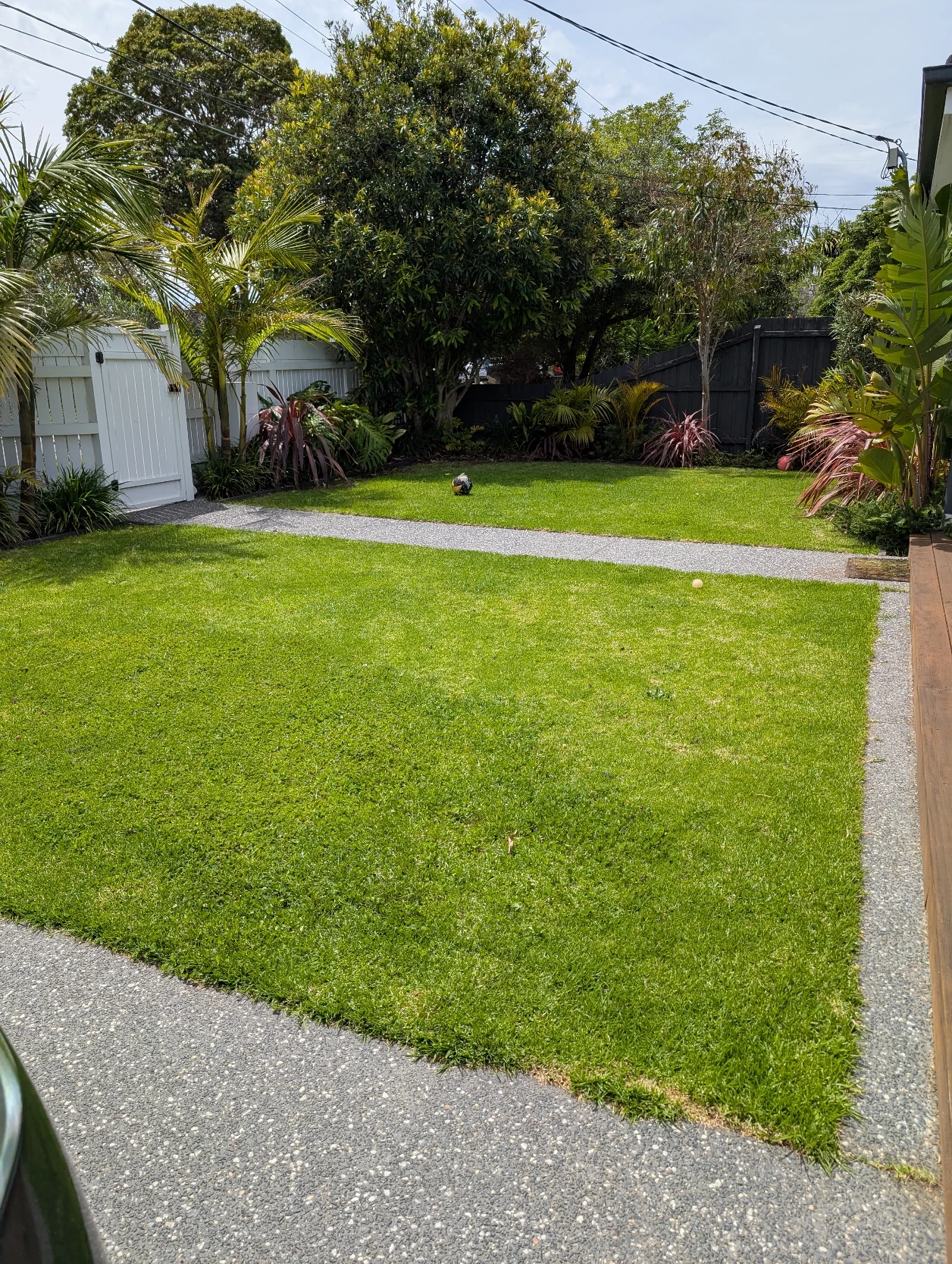 image-14