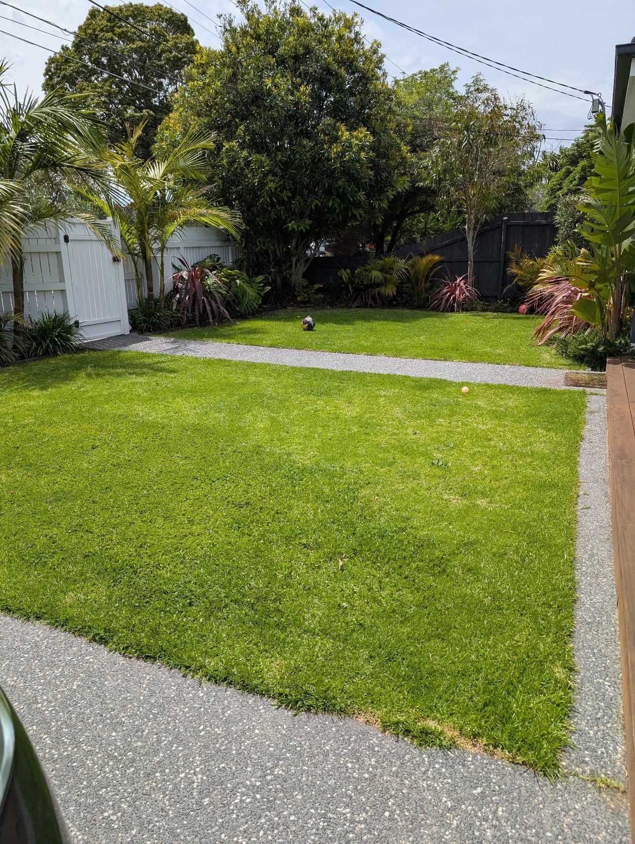image-14