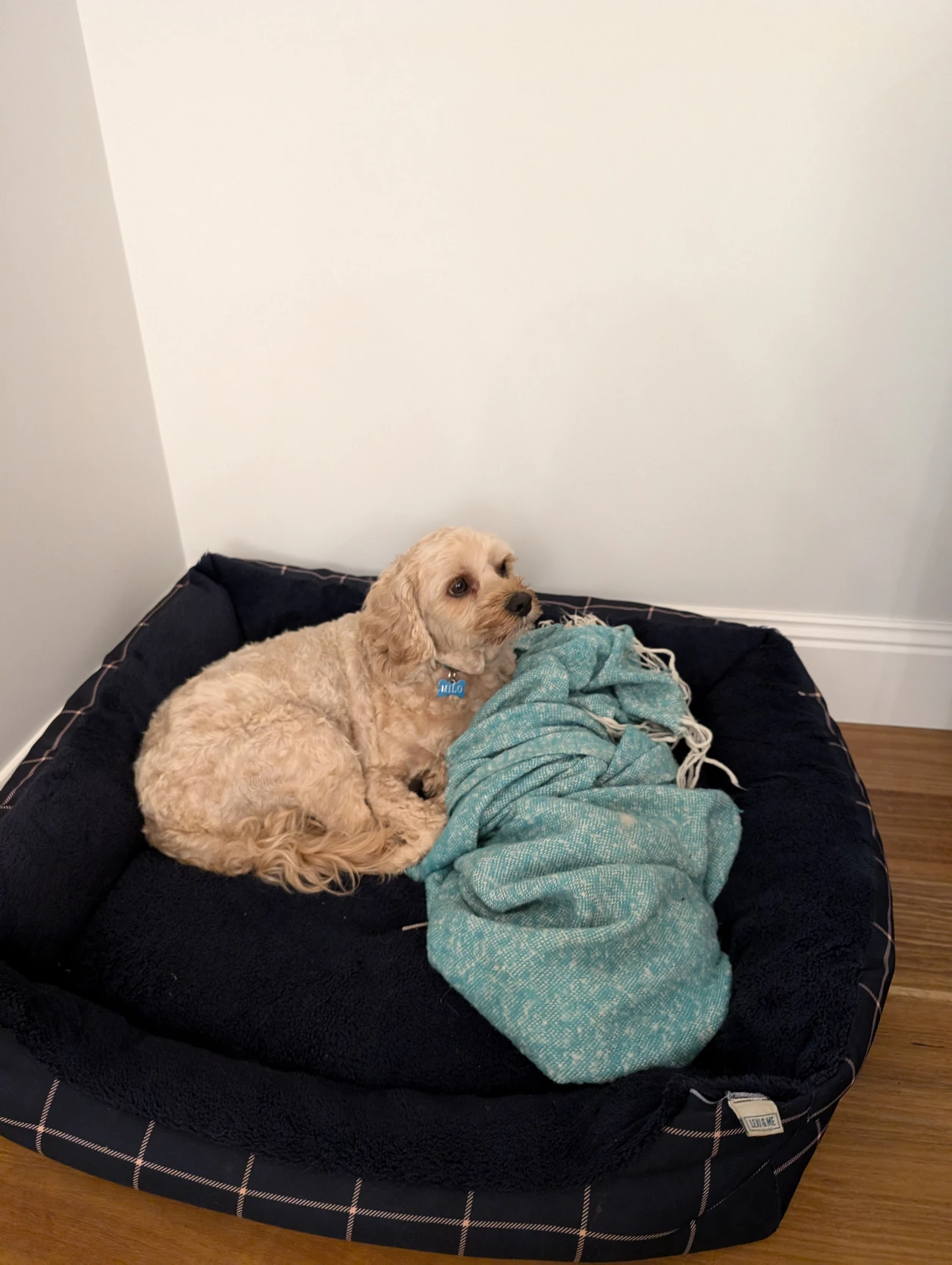 image-18