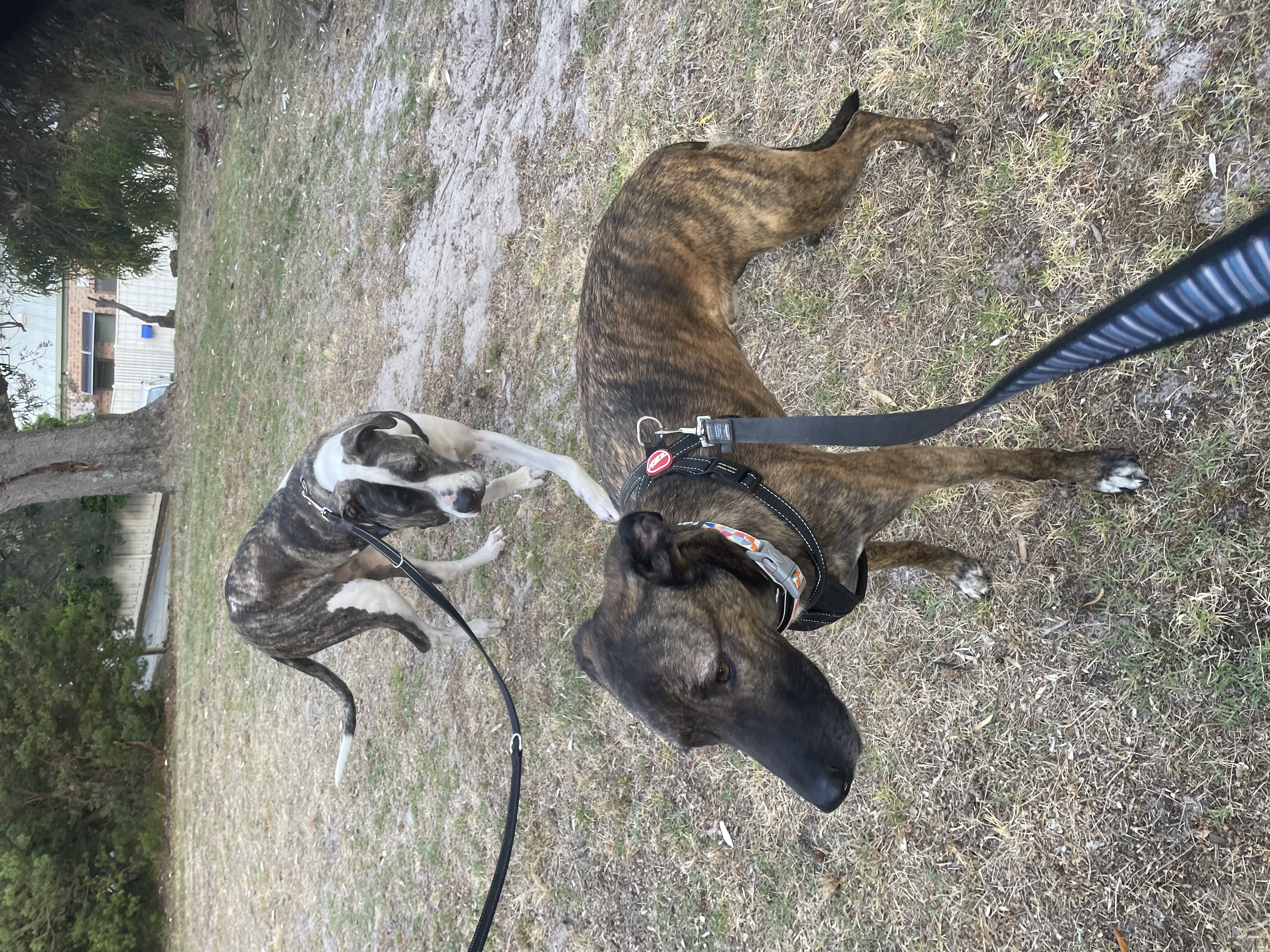 image-5