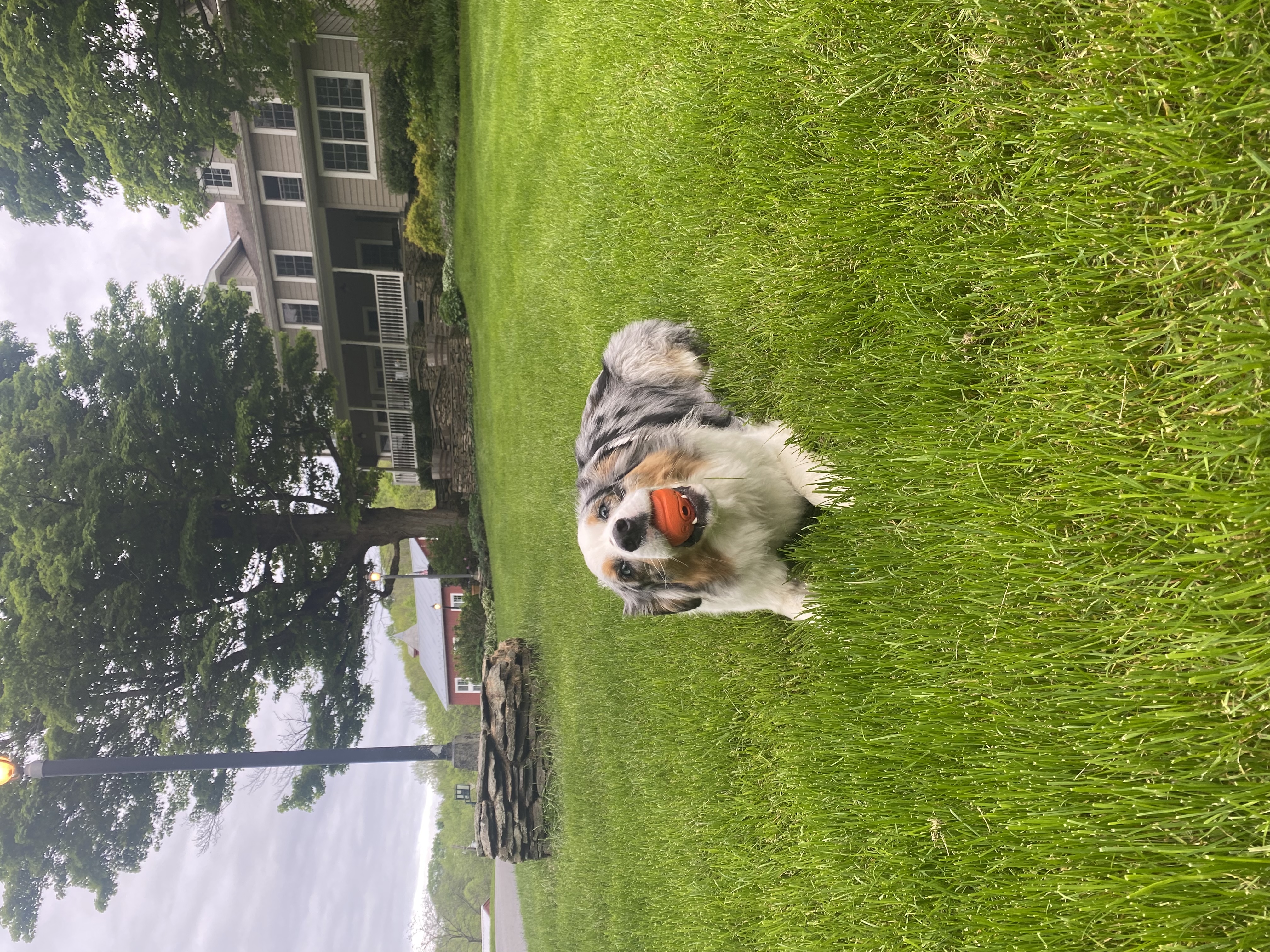 image-8