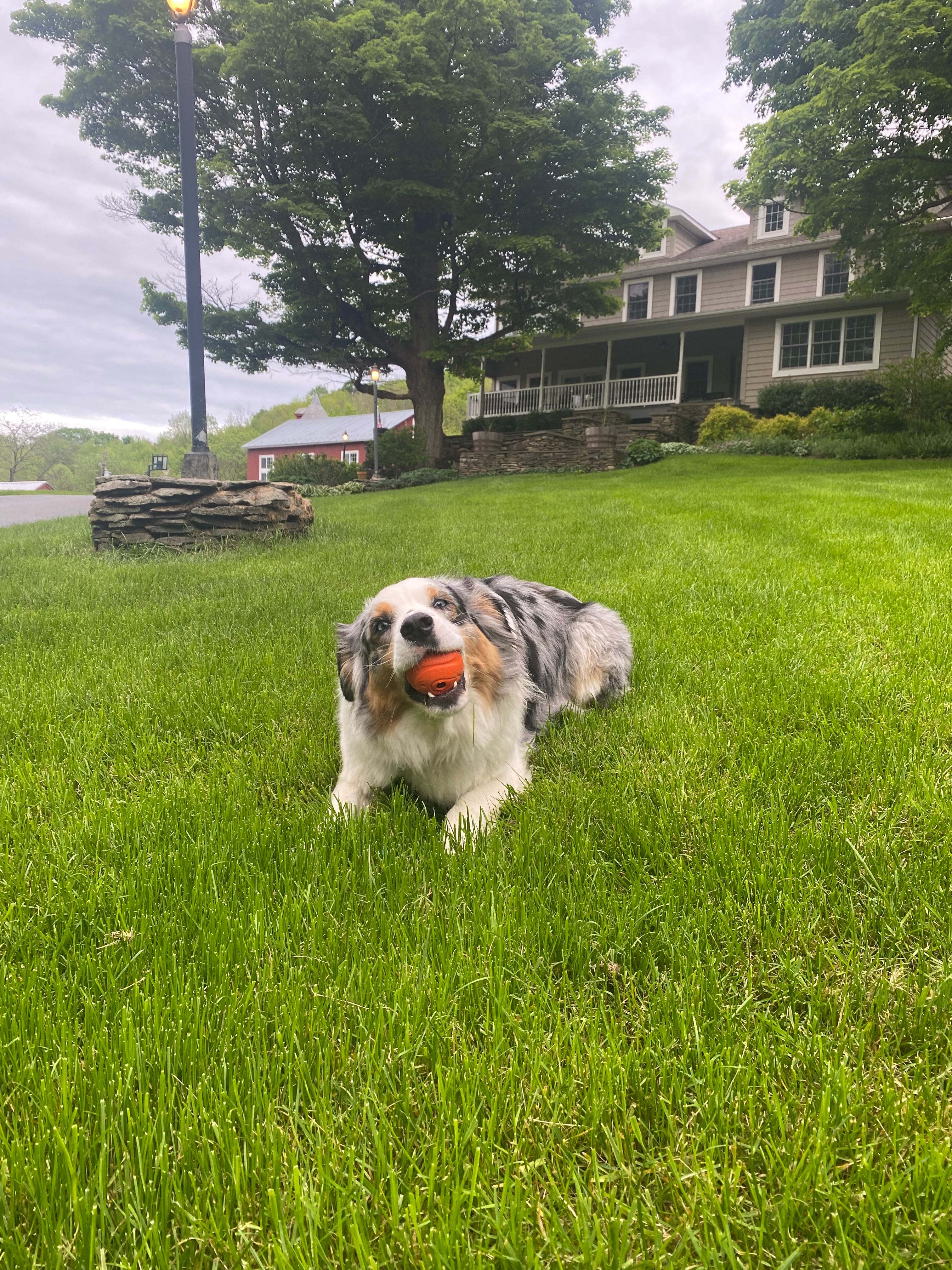 image-8