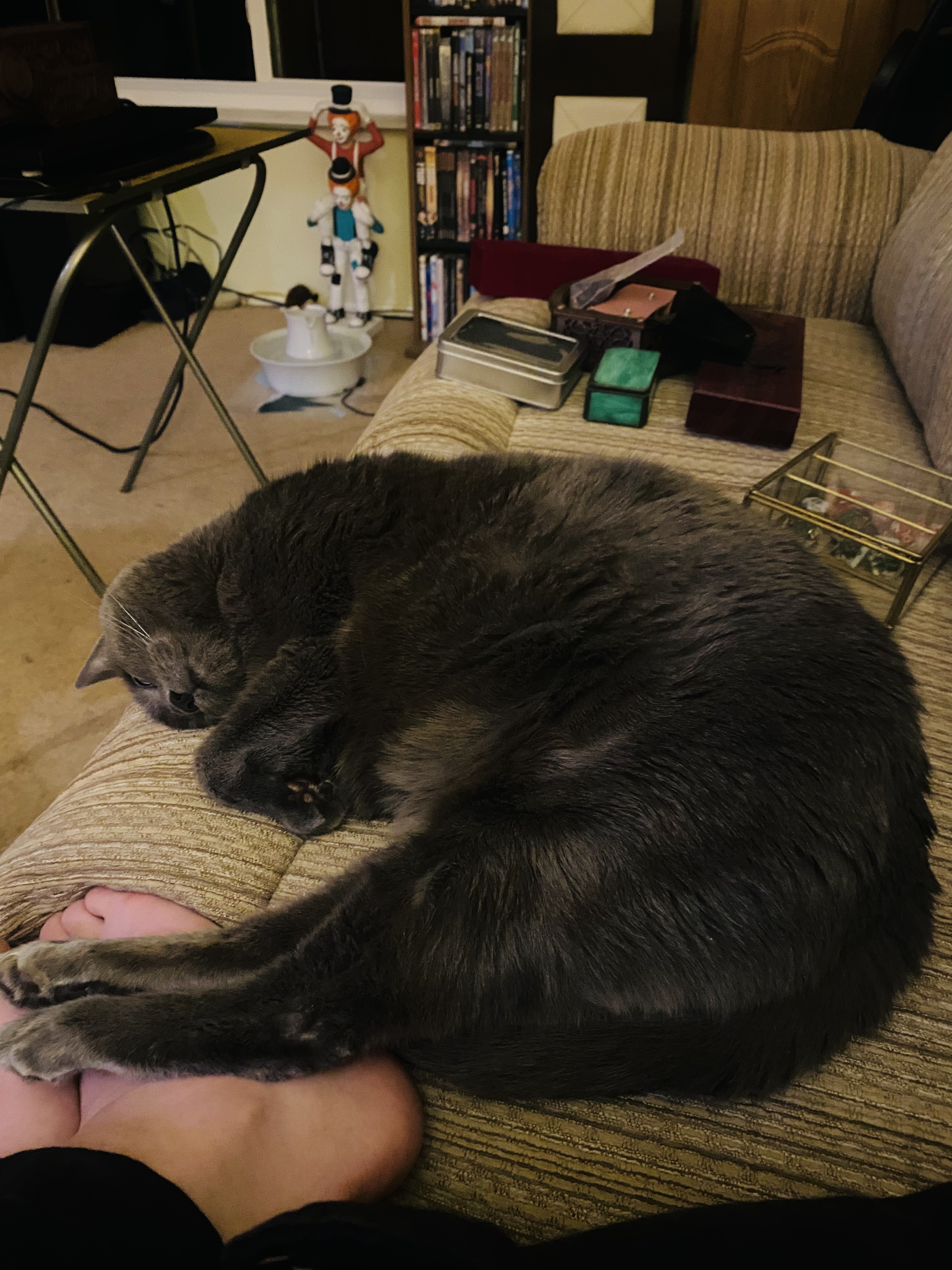 image-6