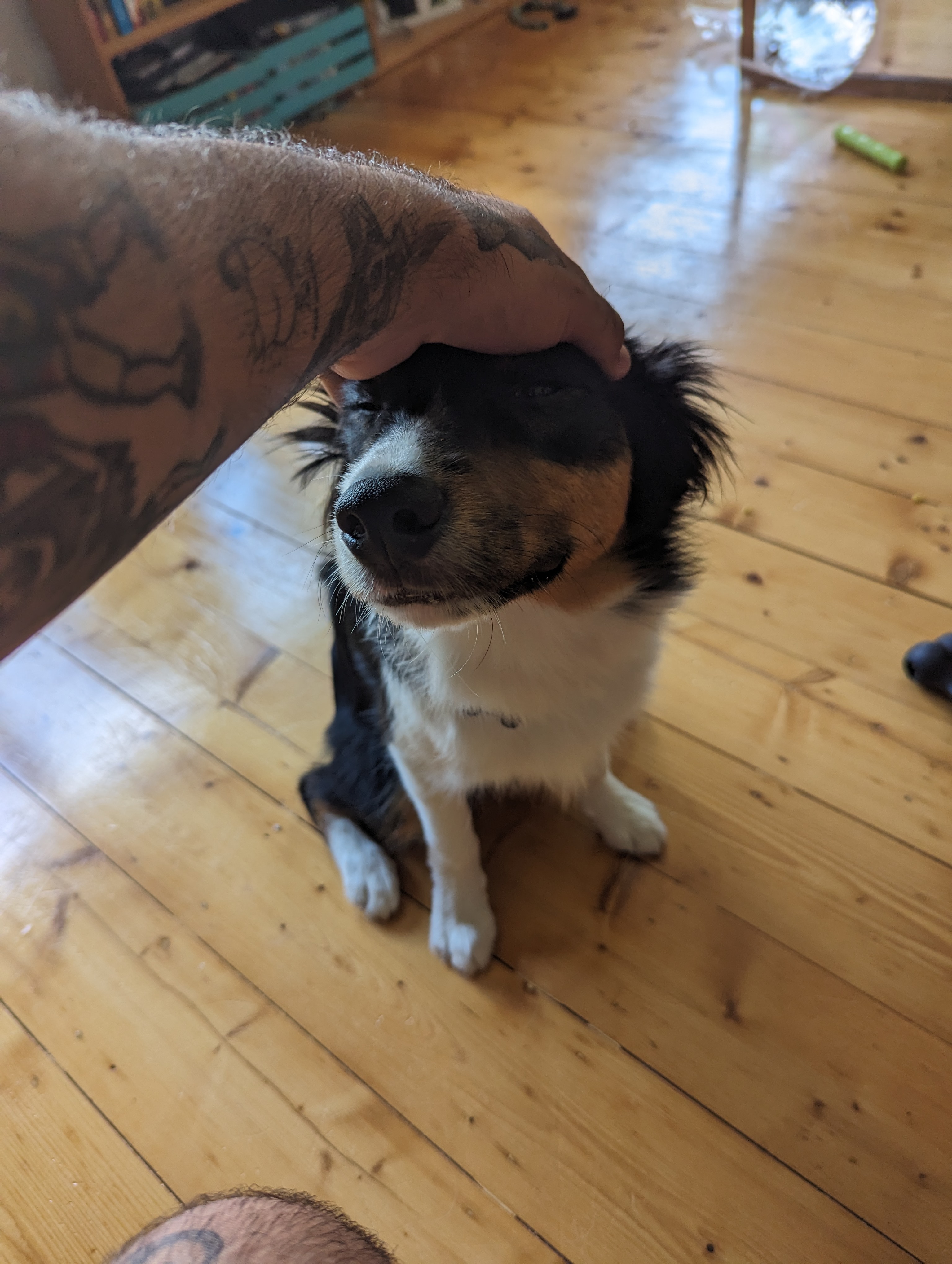 image-6