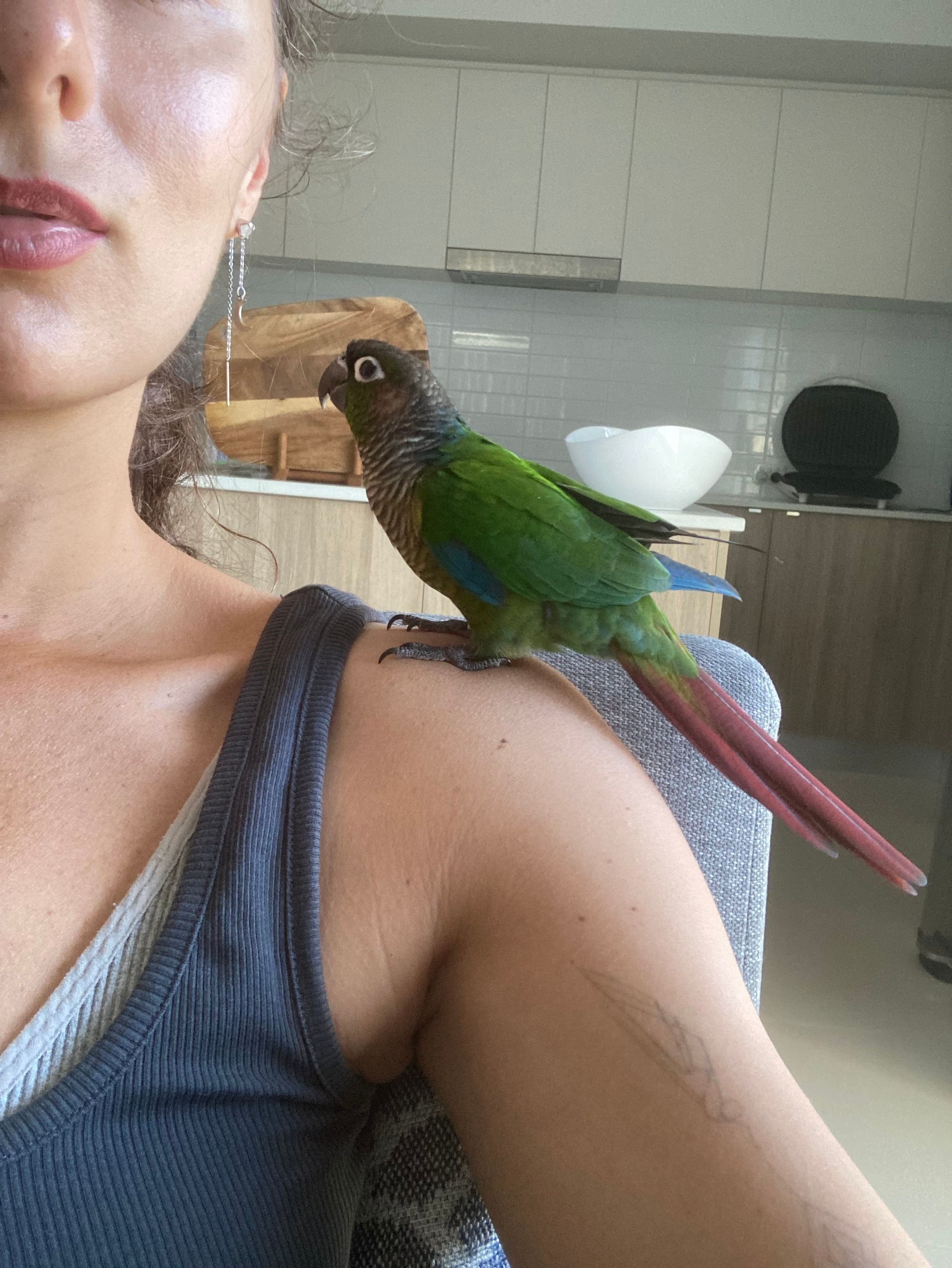 image-8