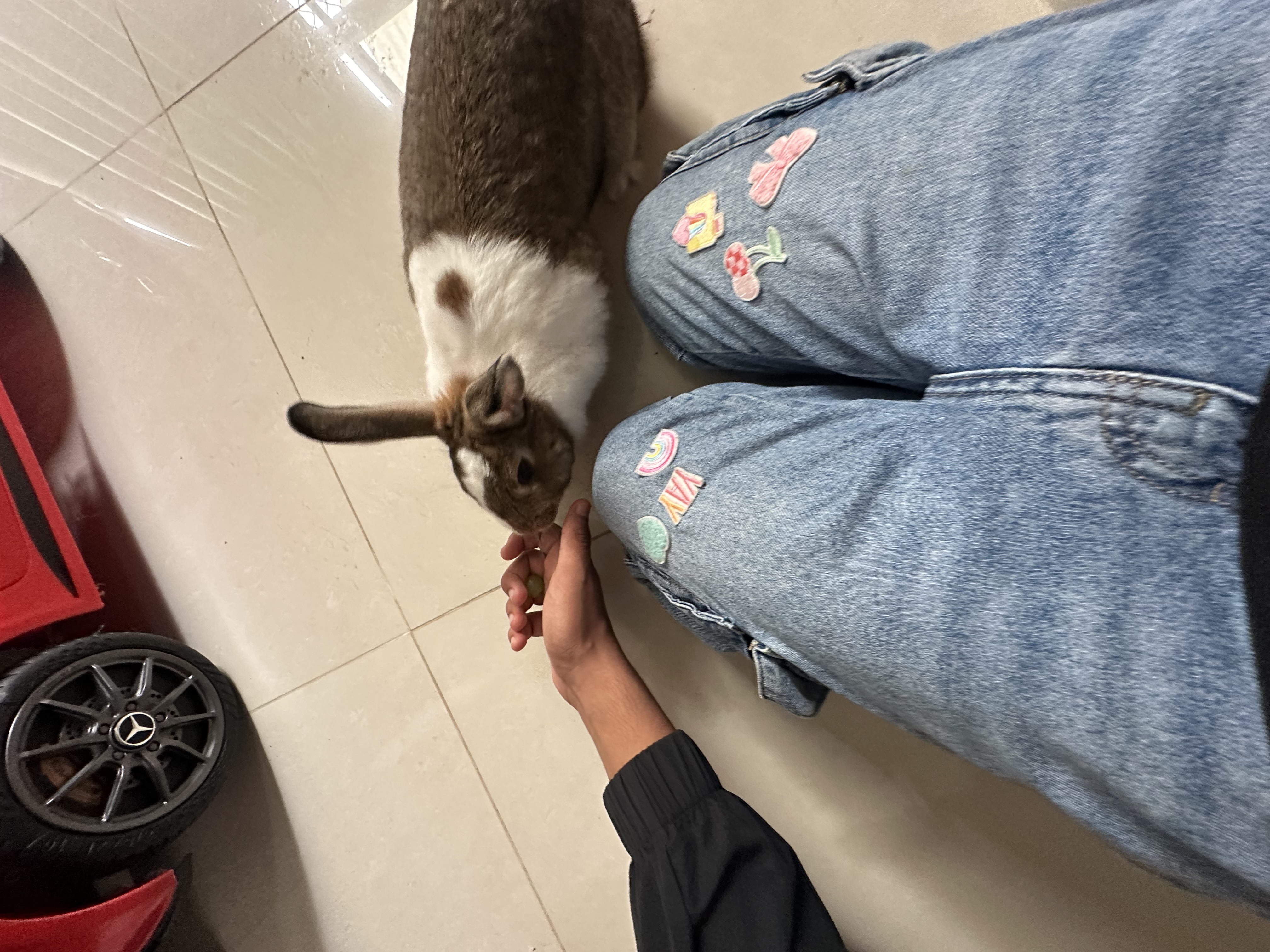 image-13