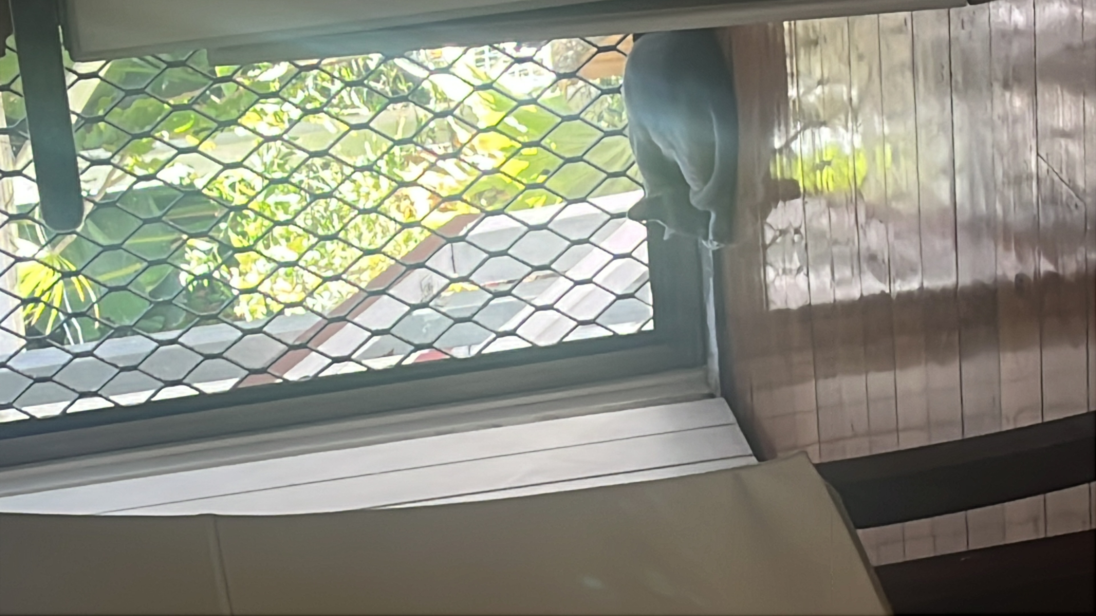 image-18