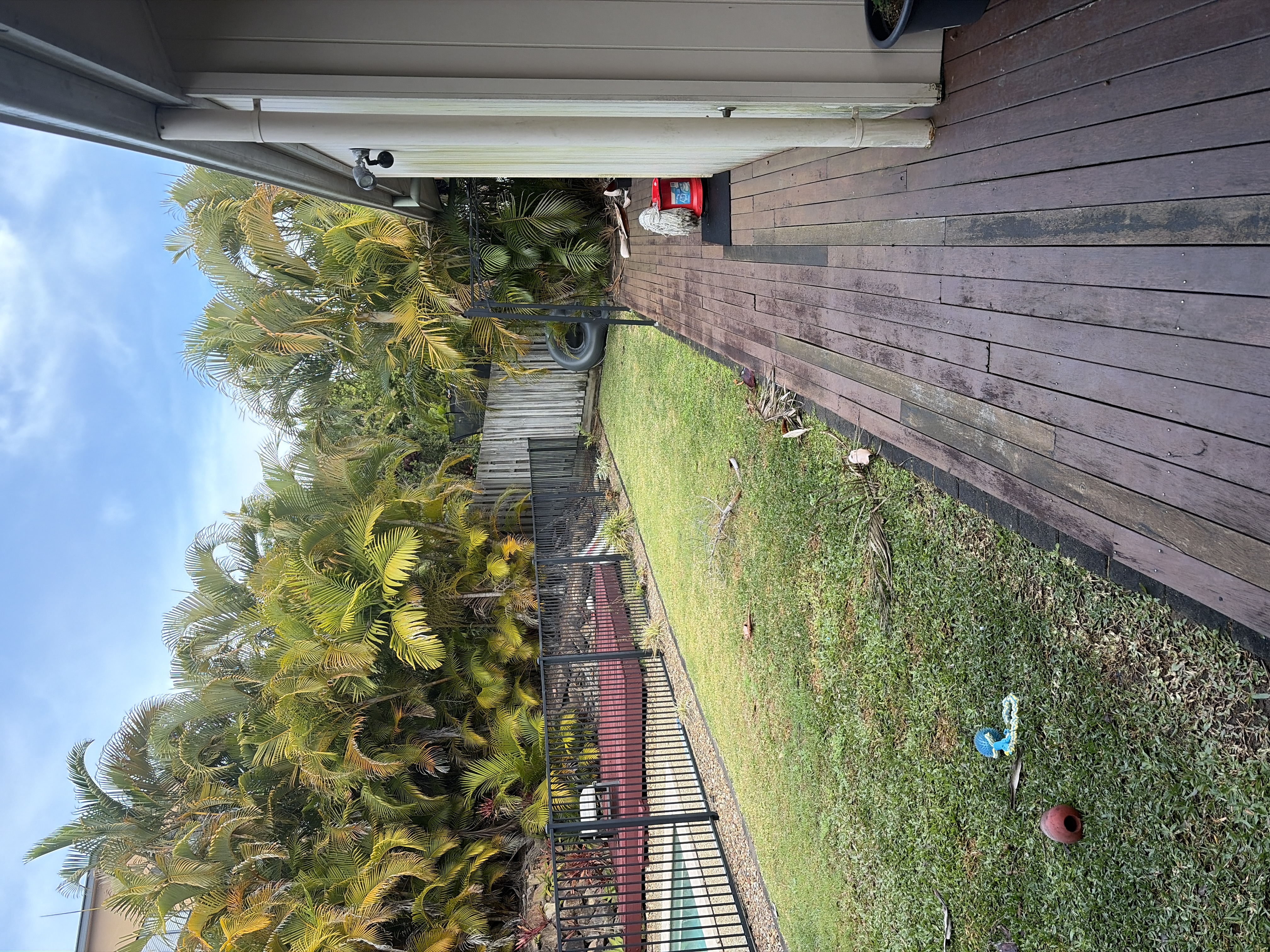 image-16