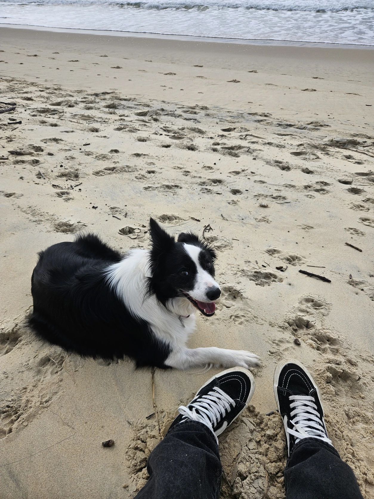 image-9