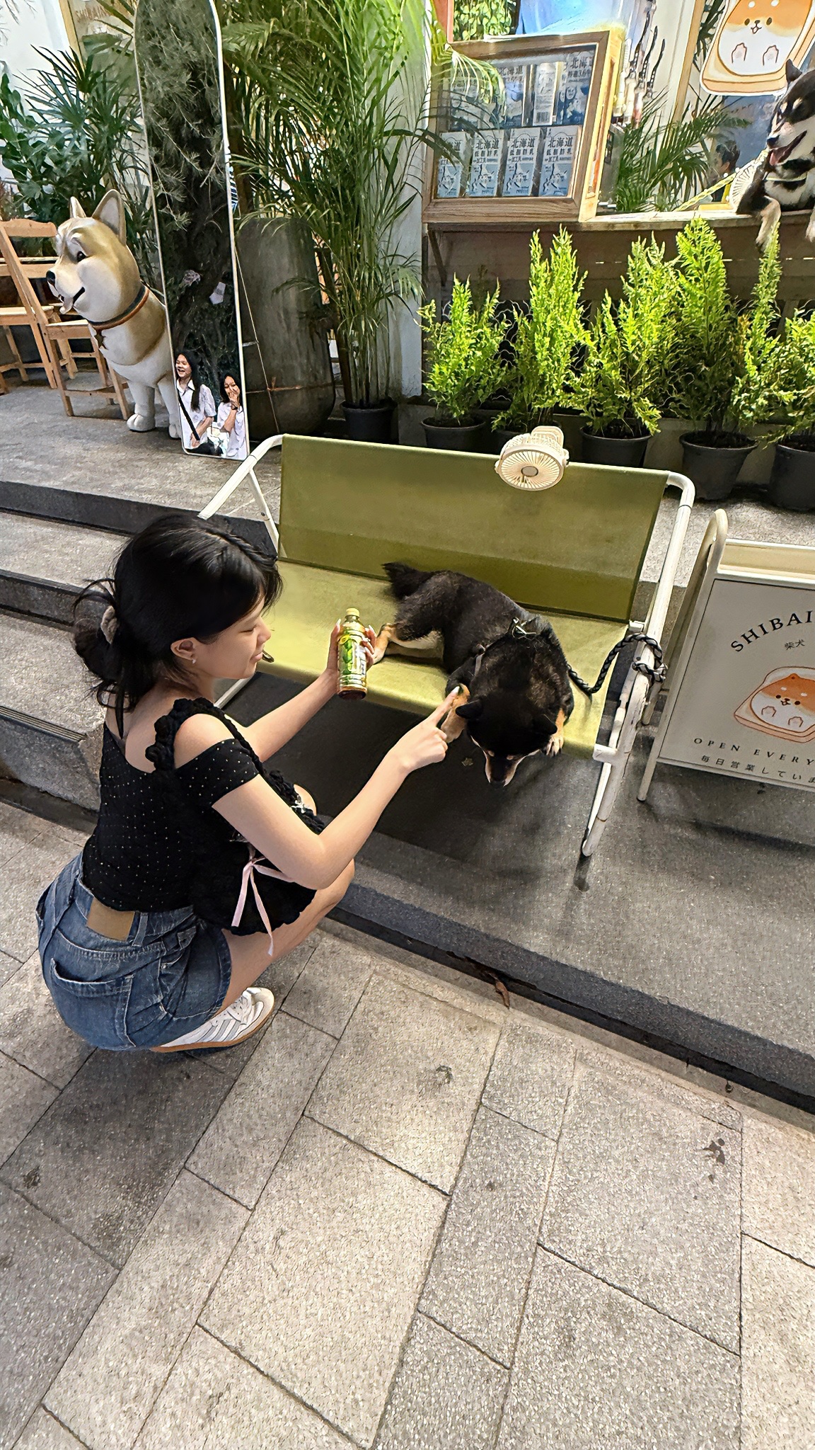 image-3