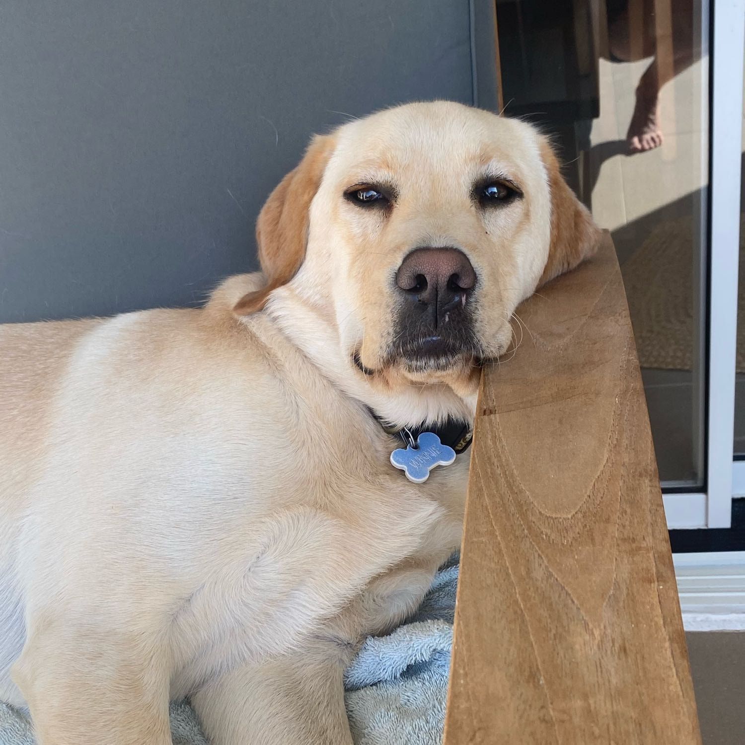 Winnie