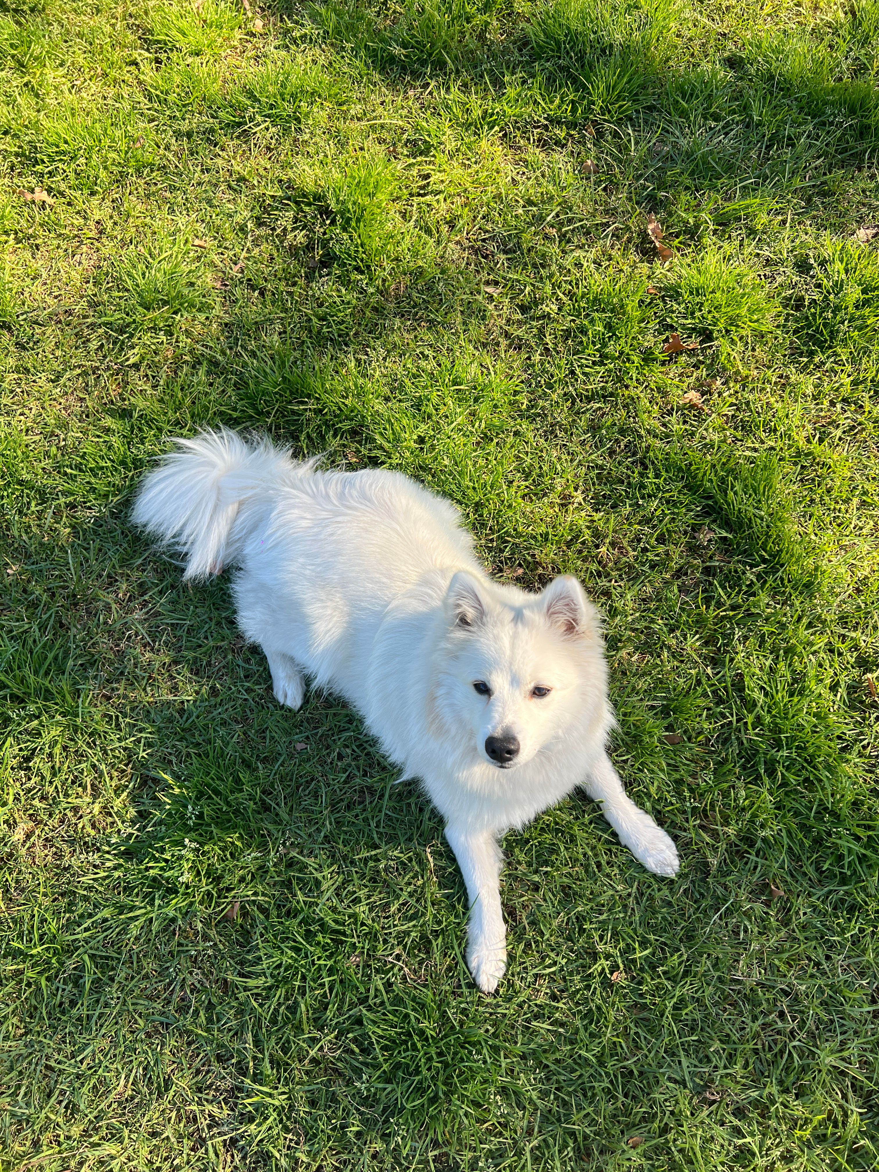 image-9