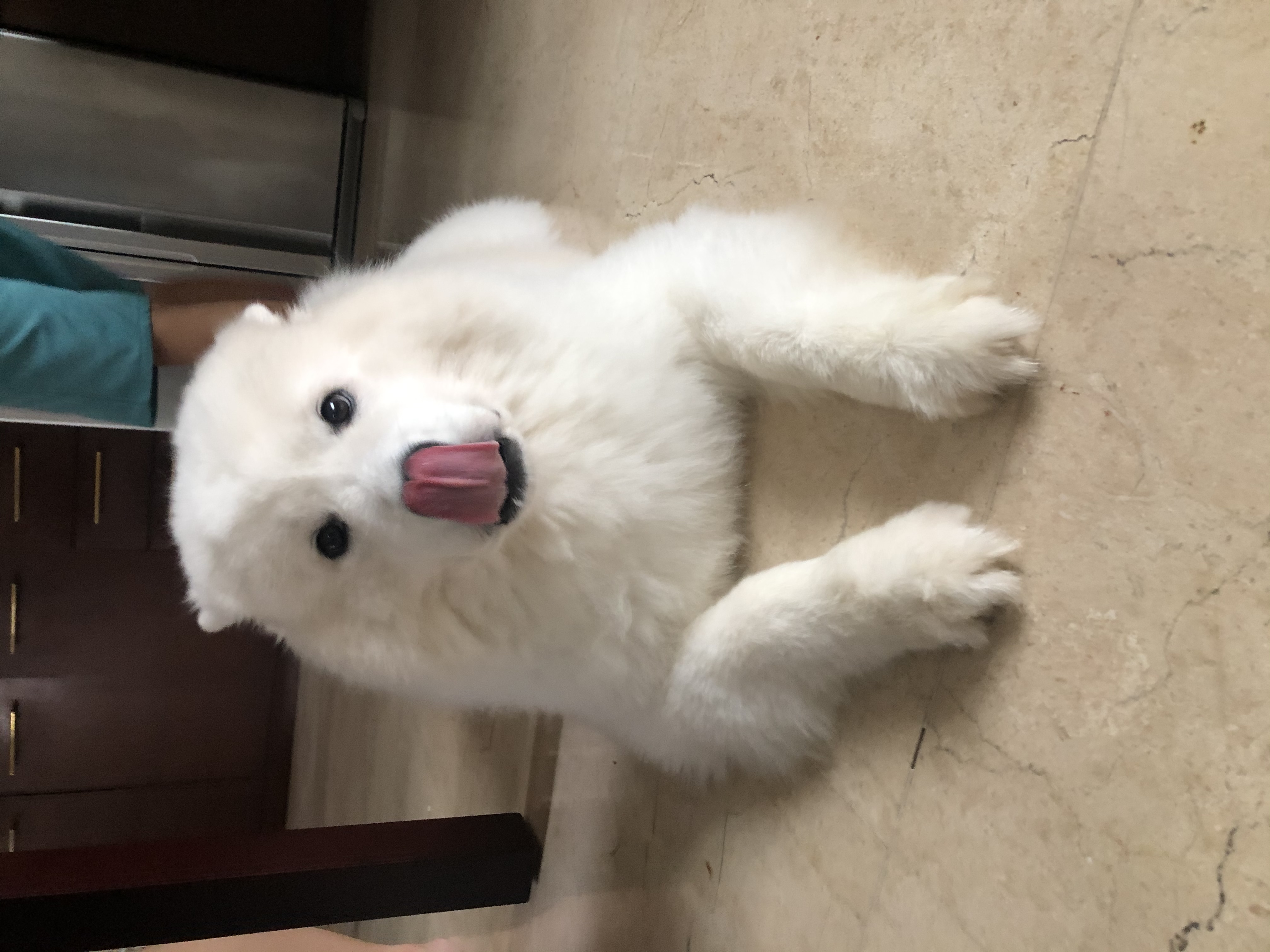 image-9