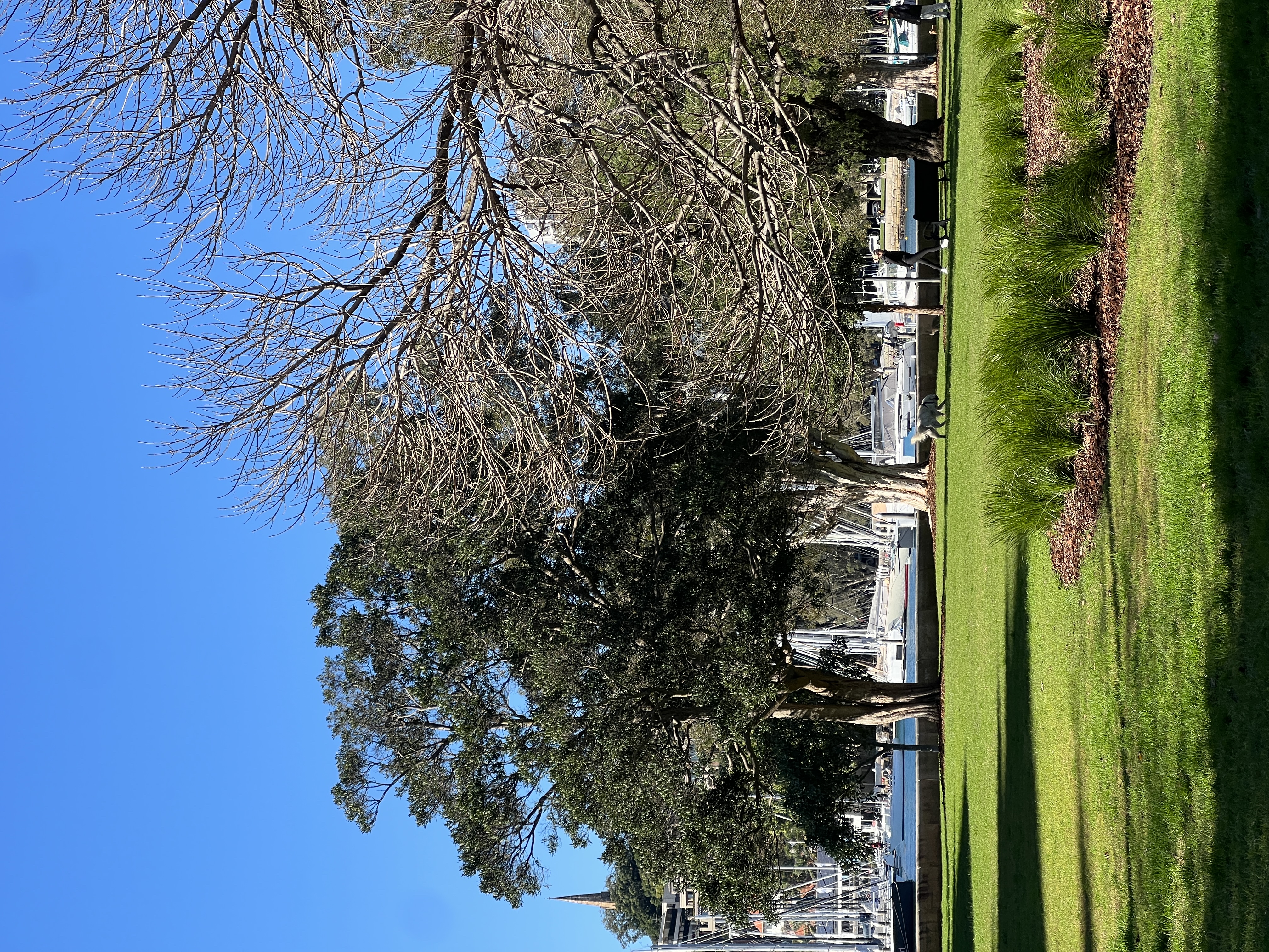 image-16