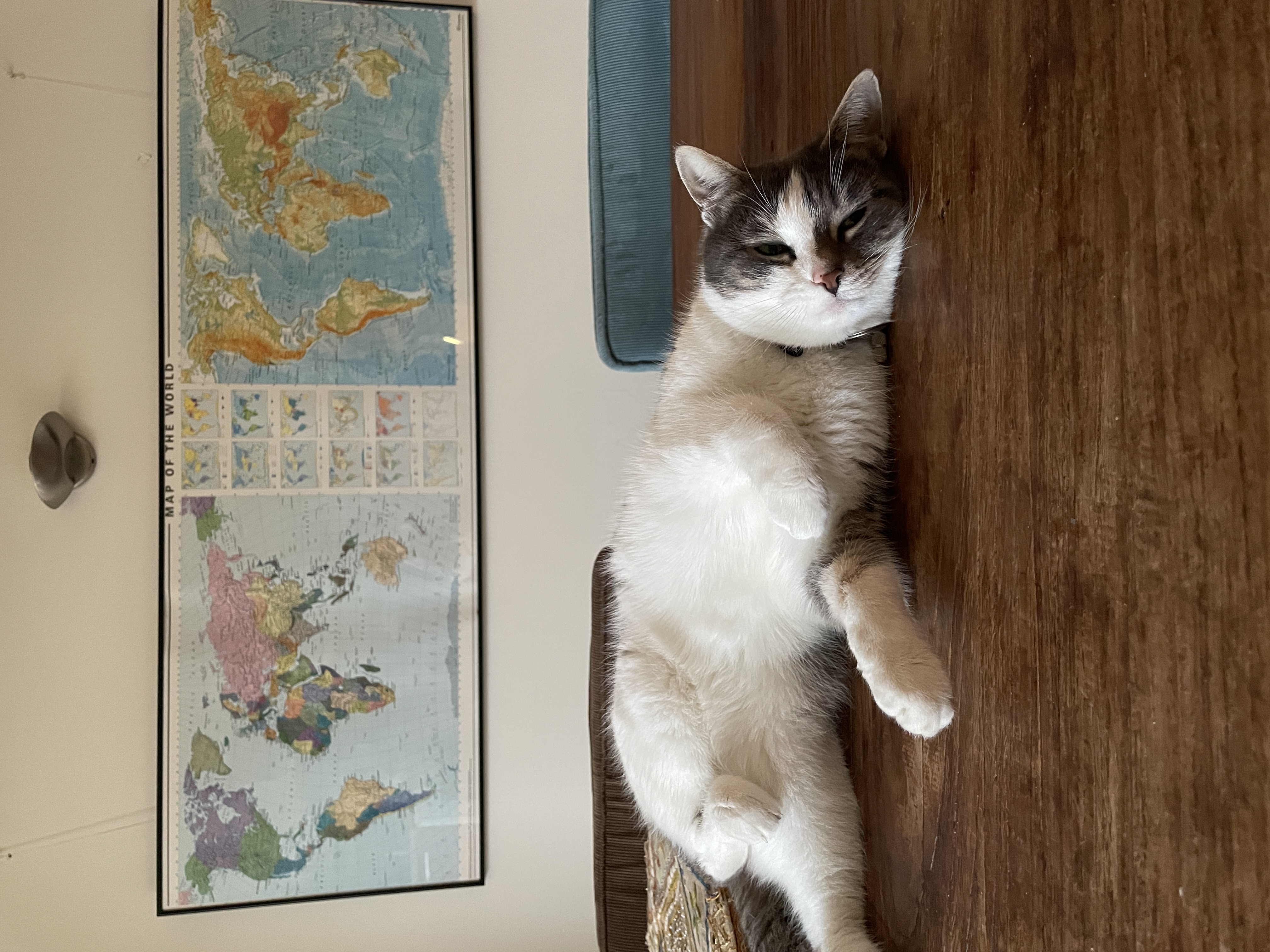 image-5
