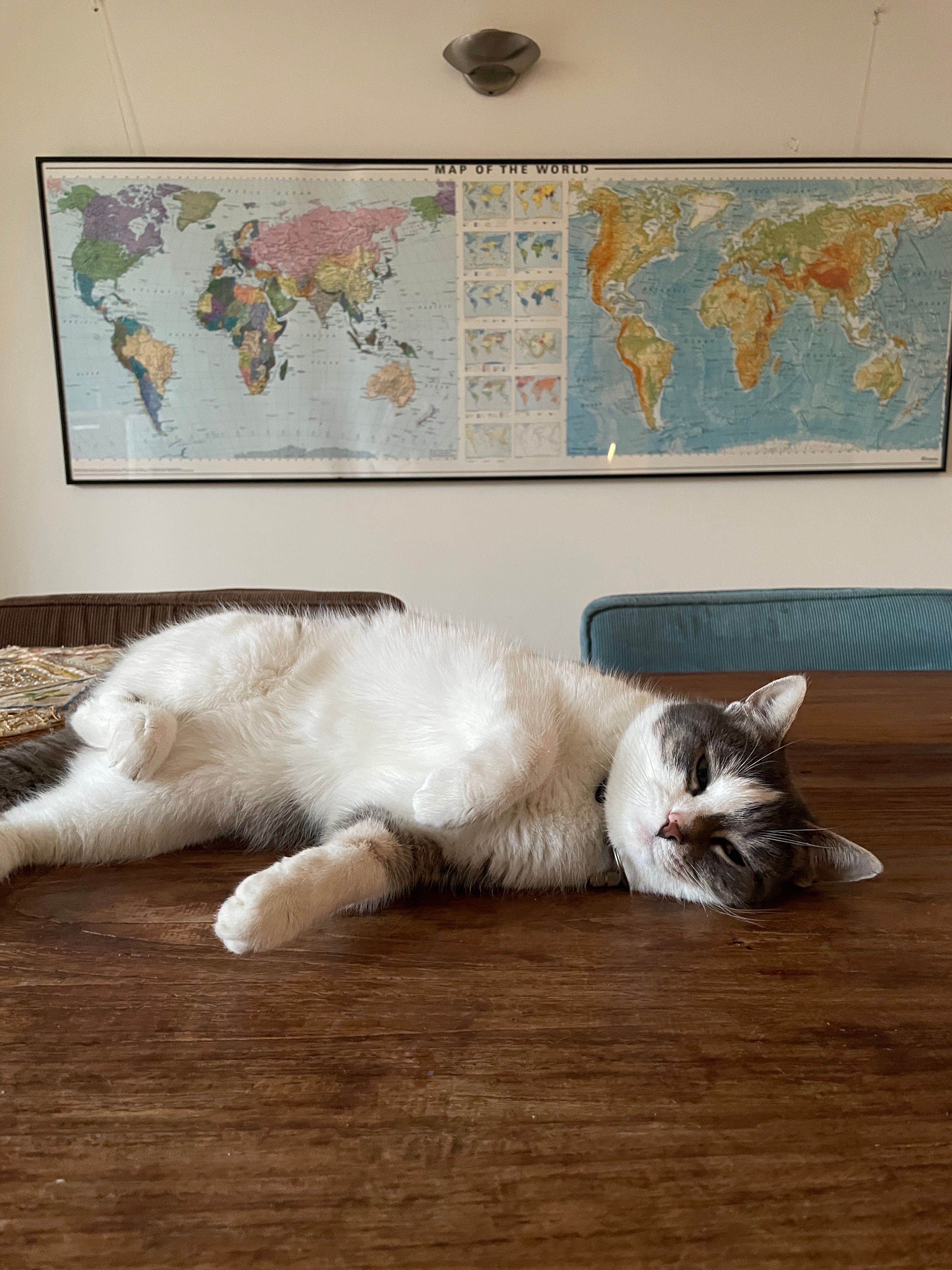 image-5