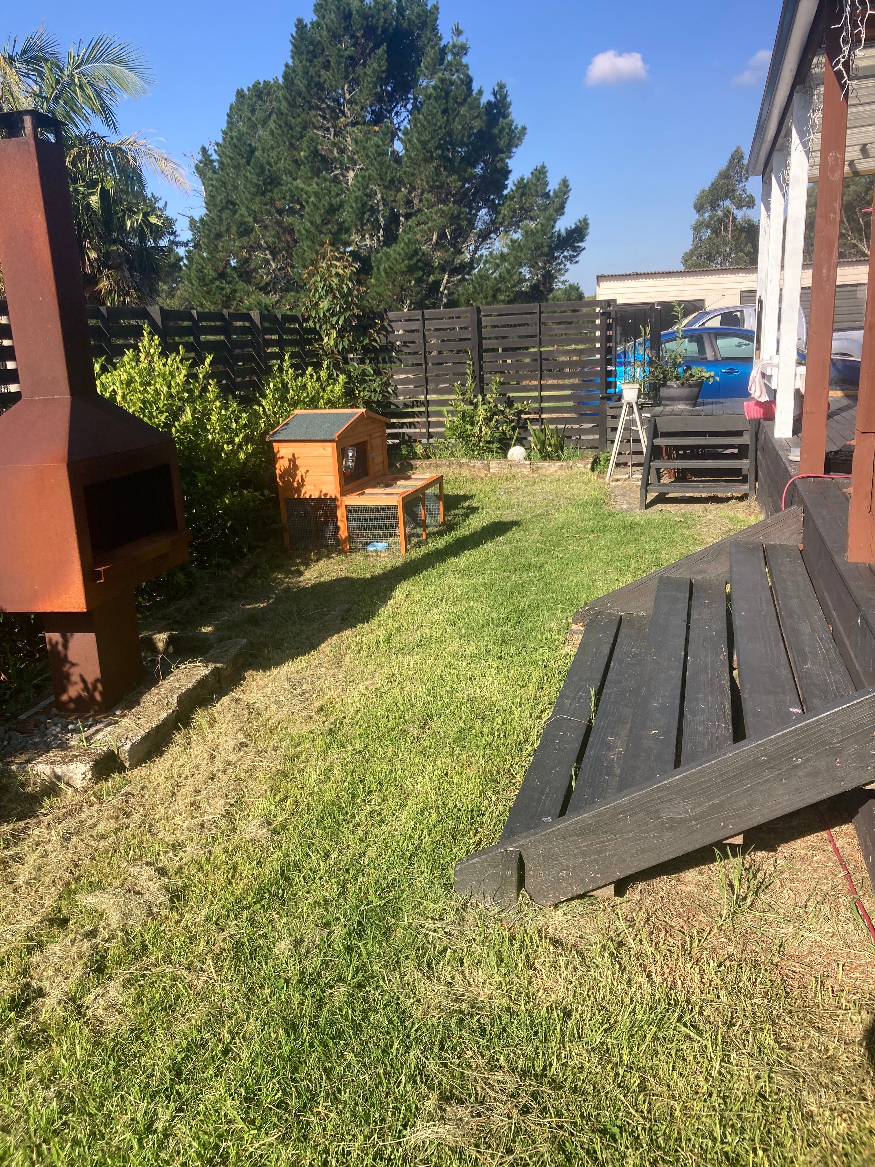 image-5