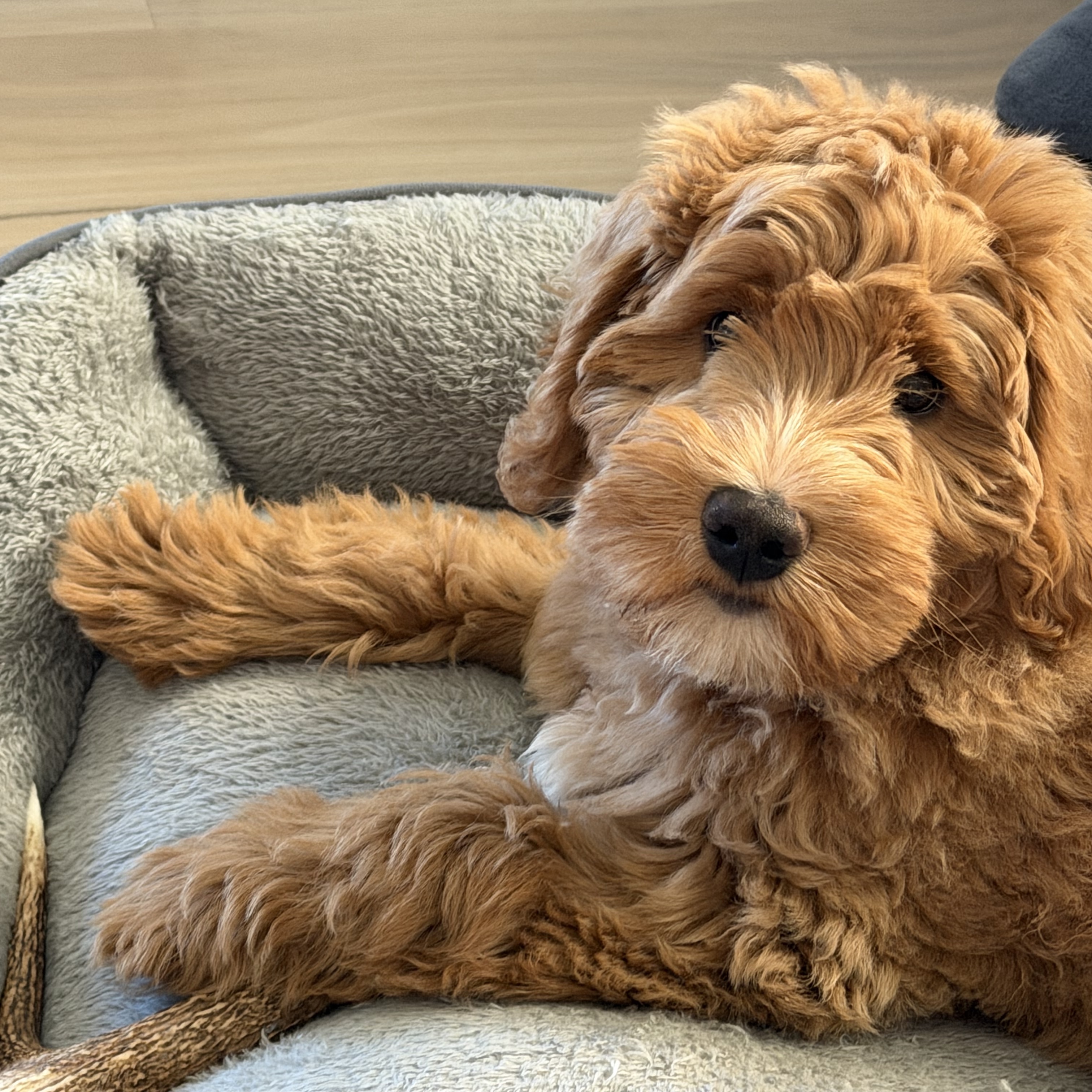 Milo