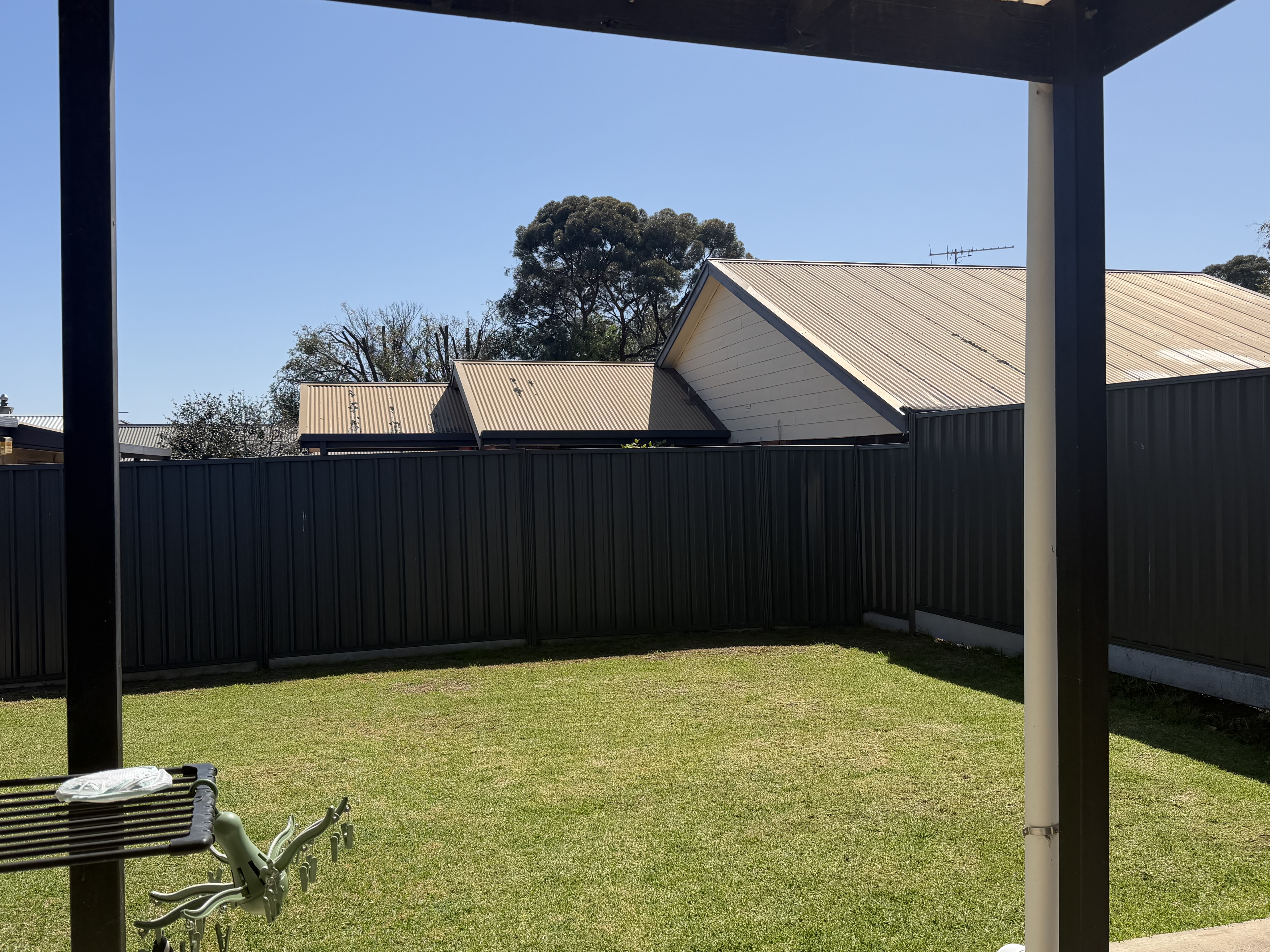 image-20