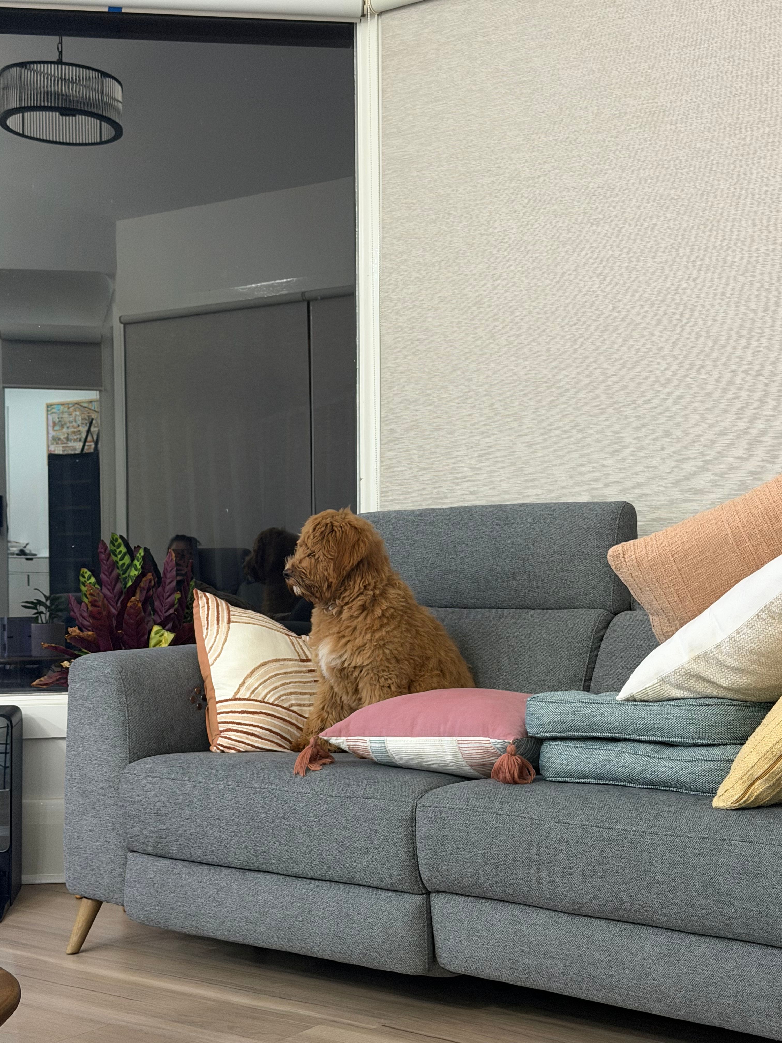 image-12